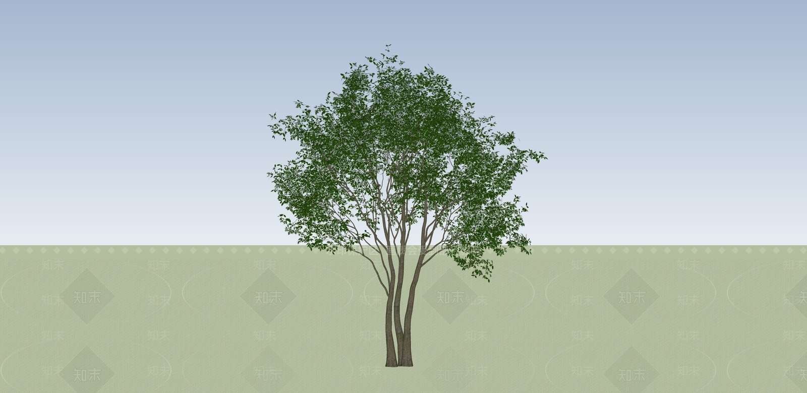 现代景观树SU模型下载【ID:1128337987】
