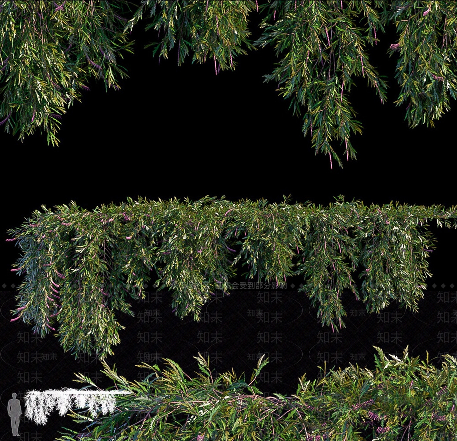 植物墙藤蔓爬藤绿植组合SU模型下载【ID:1128376120】