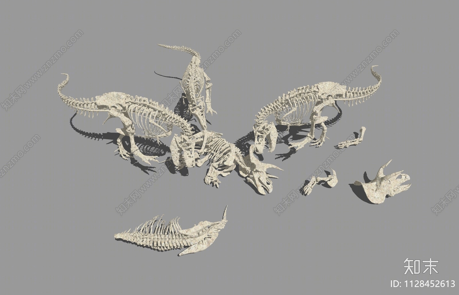 现代恐龙骨架骨头化石标本SU模型下载【ID:1128452613】