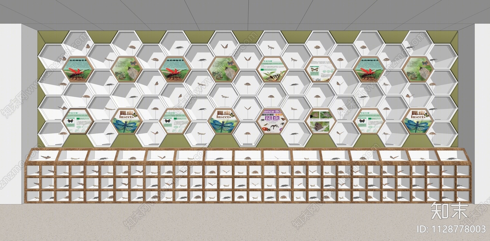 现代昆虫动物标本展示柜SU模型下载【ID:1128778003】