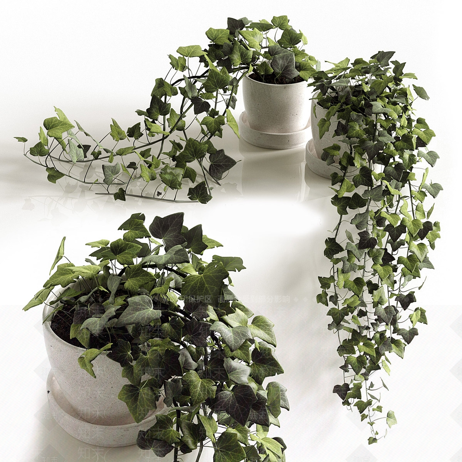 吊兰3D模型下载【ID:1128507077】