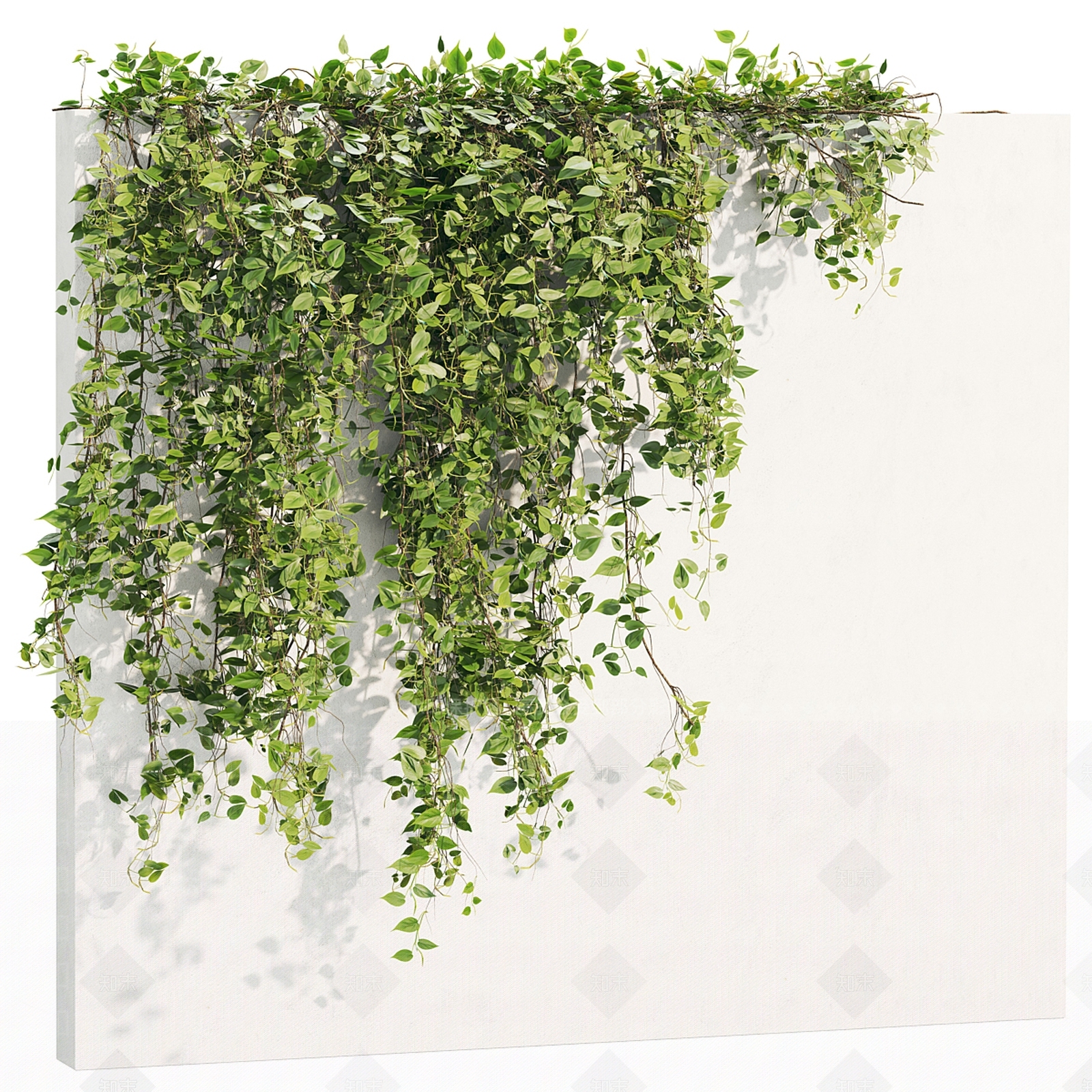 藤蔓植物3D模型下载【ID:1128535943】