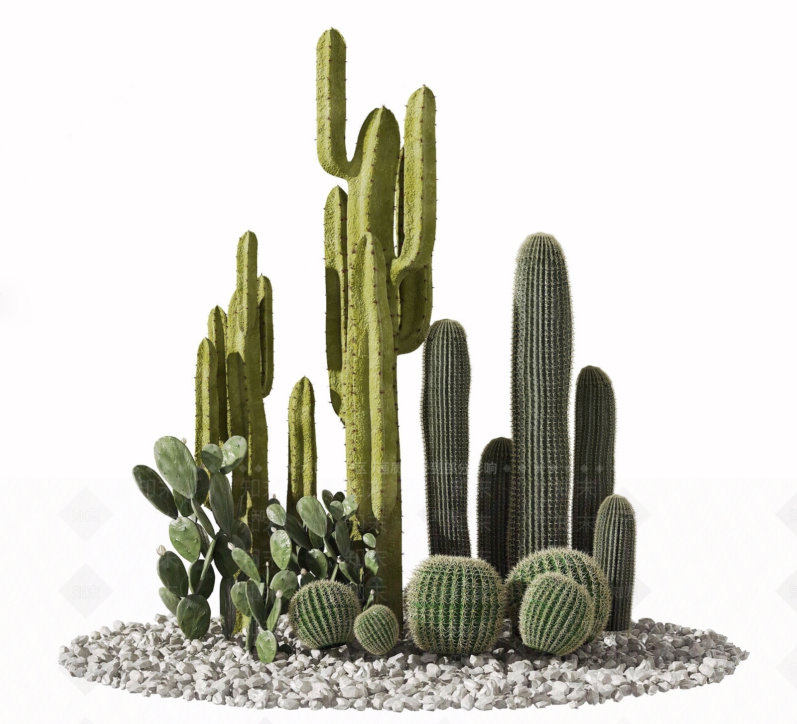 仙人掌植物堆SU模型下载【ID:1128631830】