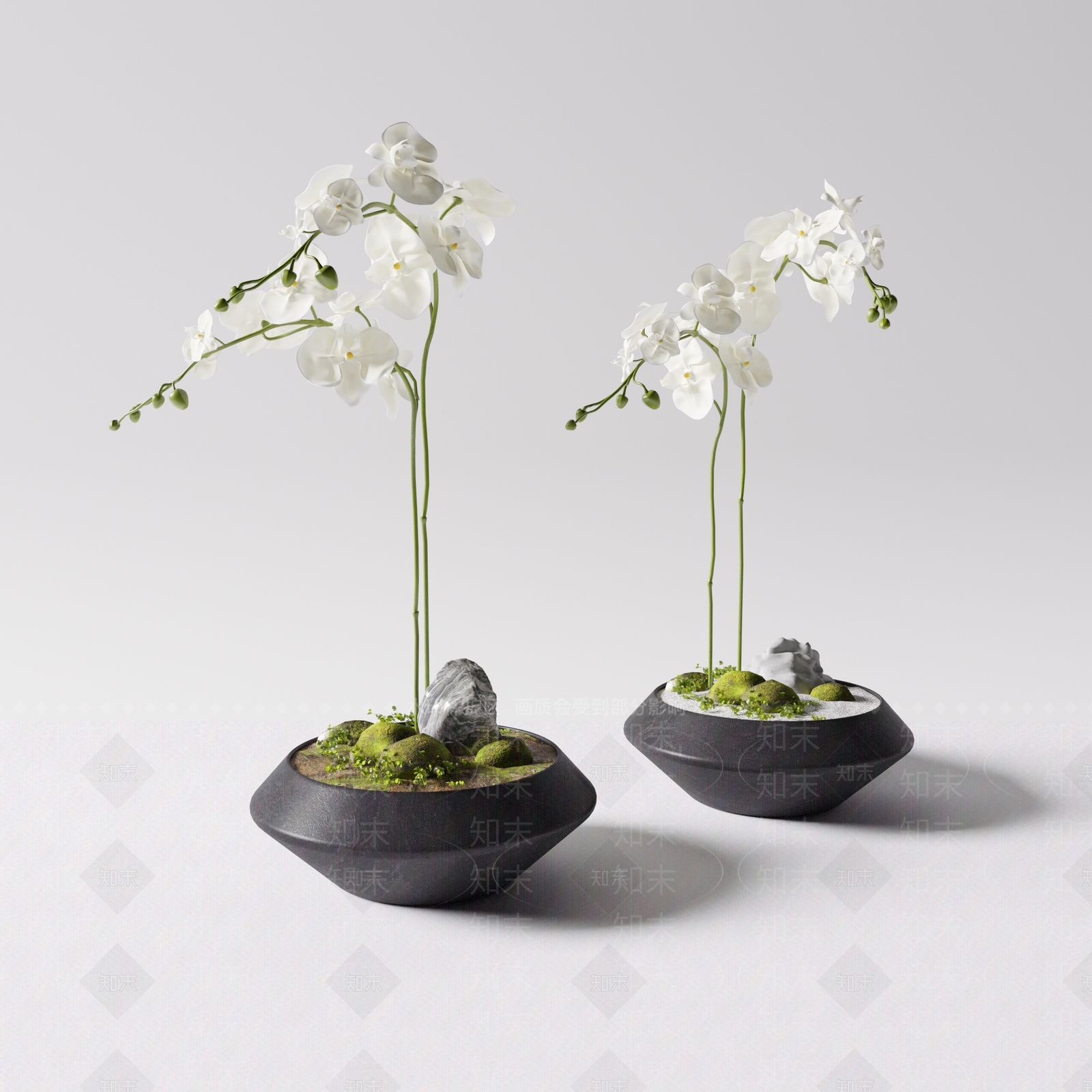 蝴蝶兰SU模型下载【ID:1147042910】