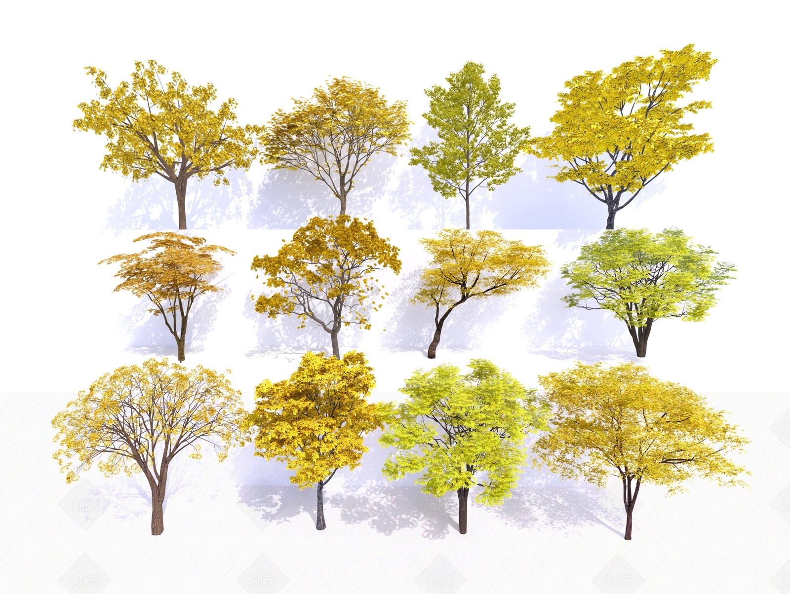 黄花风铃木SU模型下载【ID:1128896637】