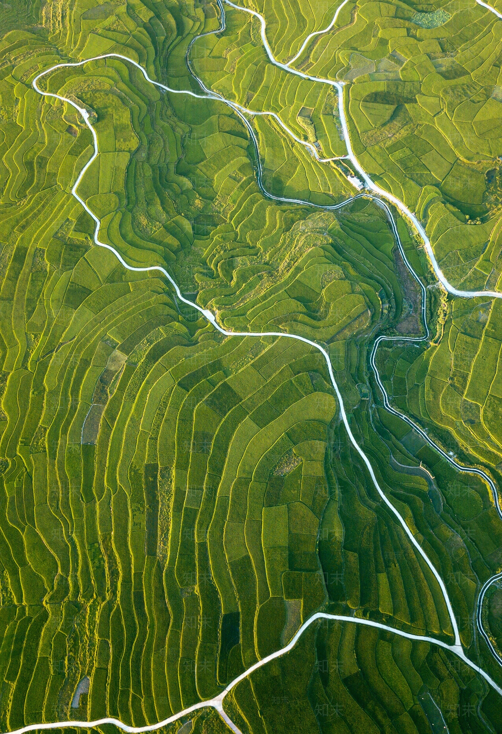 高清田地风景贴图下载【ID:1128906569】