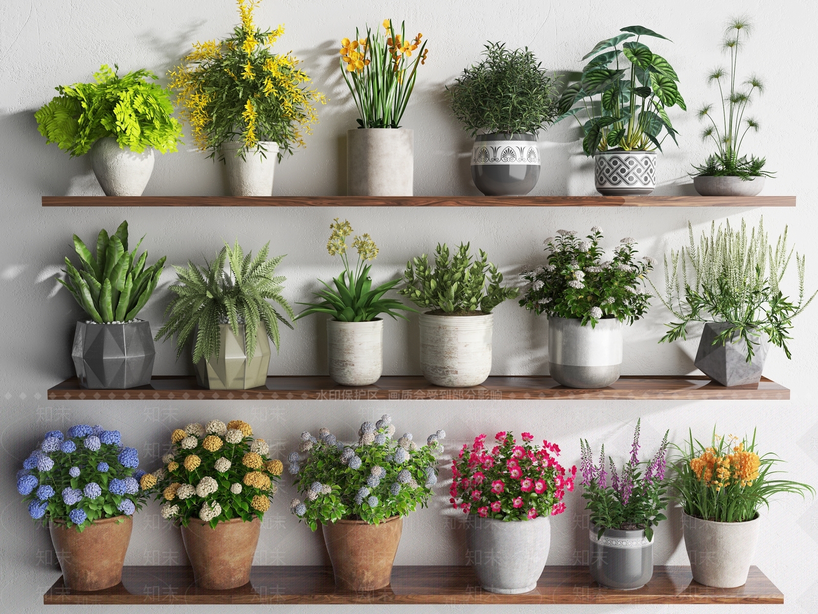 花卉盆栽3D模型下载【ID:1129071097】