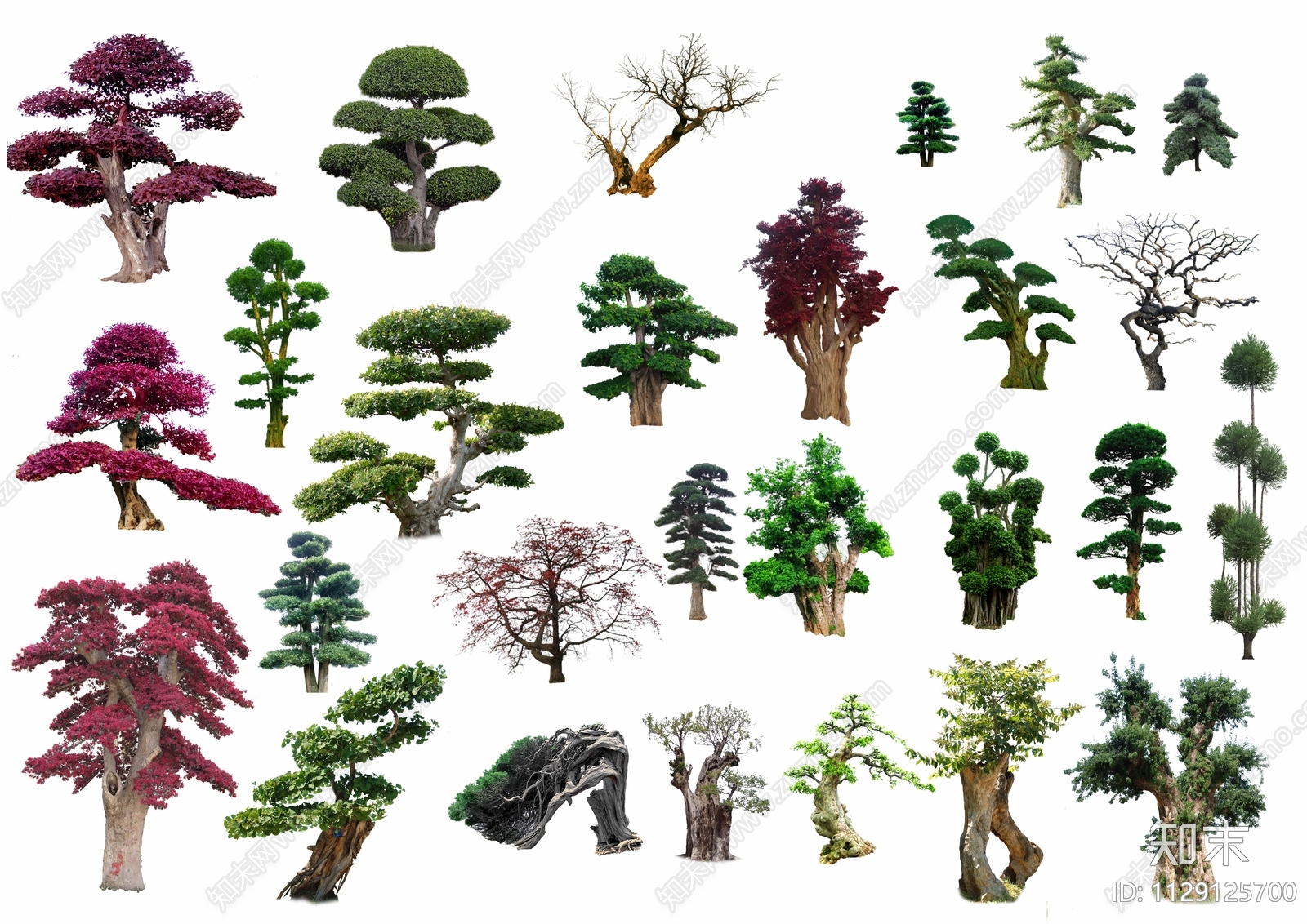 造型树psd免抠植物贴图下载【ID:1129125700】