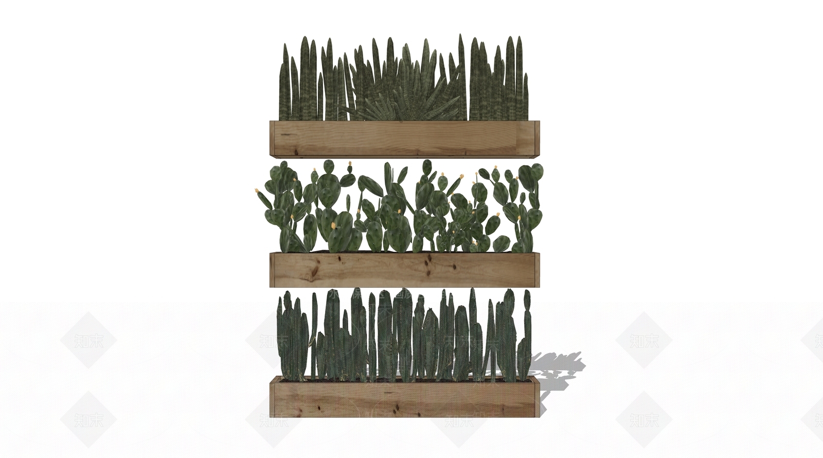 仙人掌植物SU模型下载【ID:1129178483】