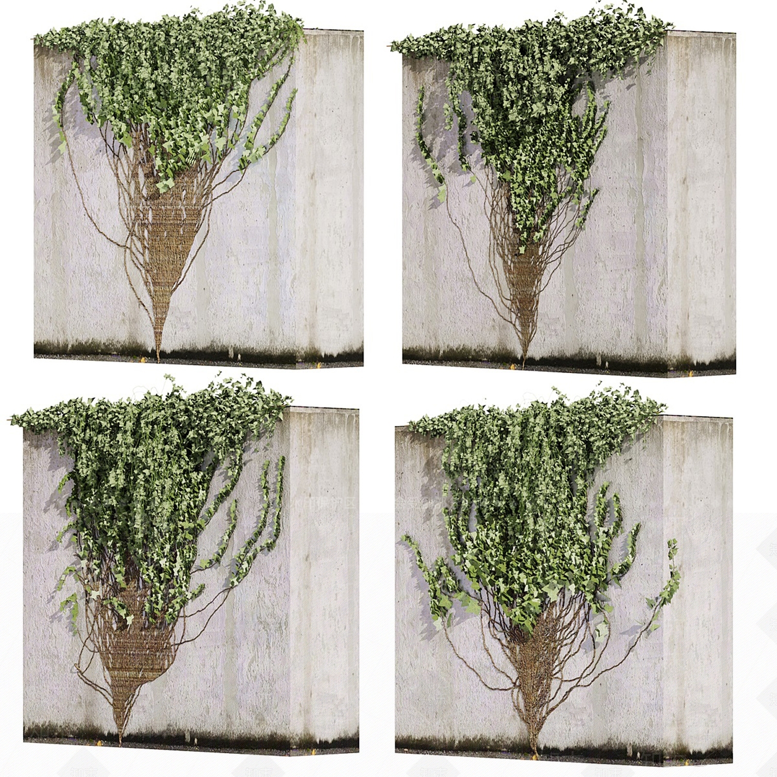 爬山虎蔓藤3D模型下载【ID:1129296205】