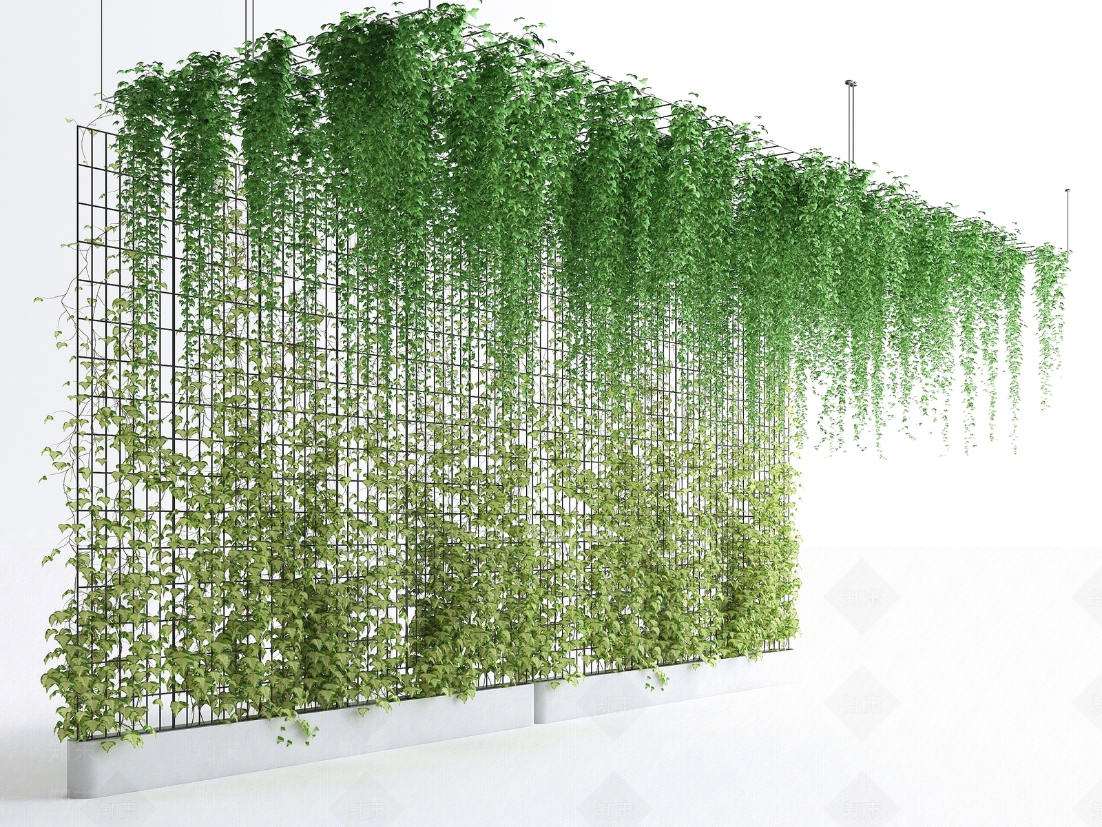 现代植物墙3D模型下载【ID:1129327920】