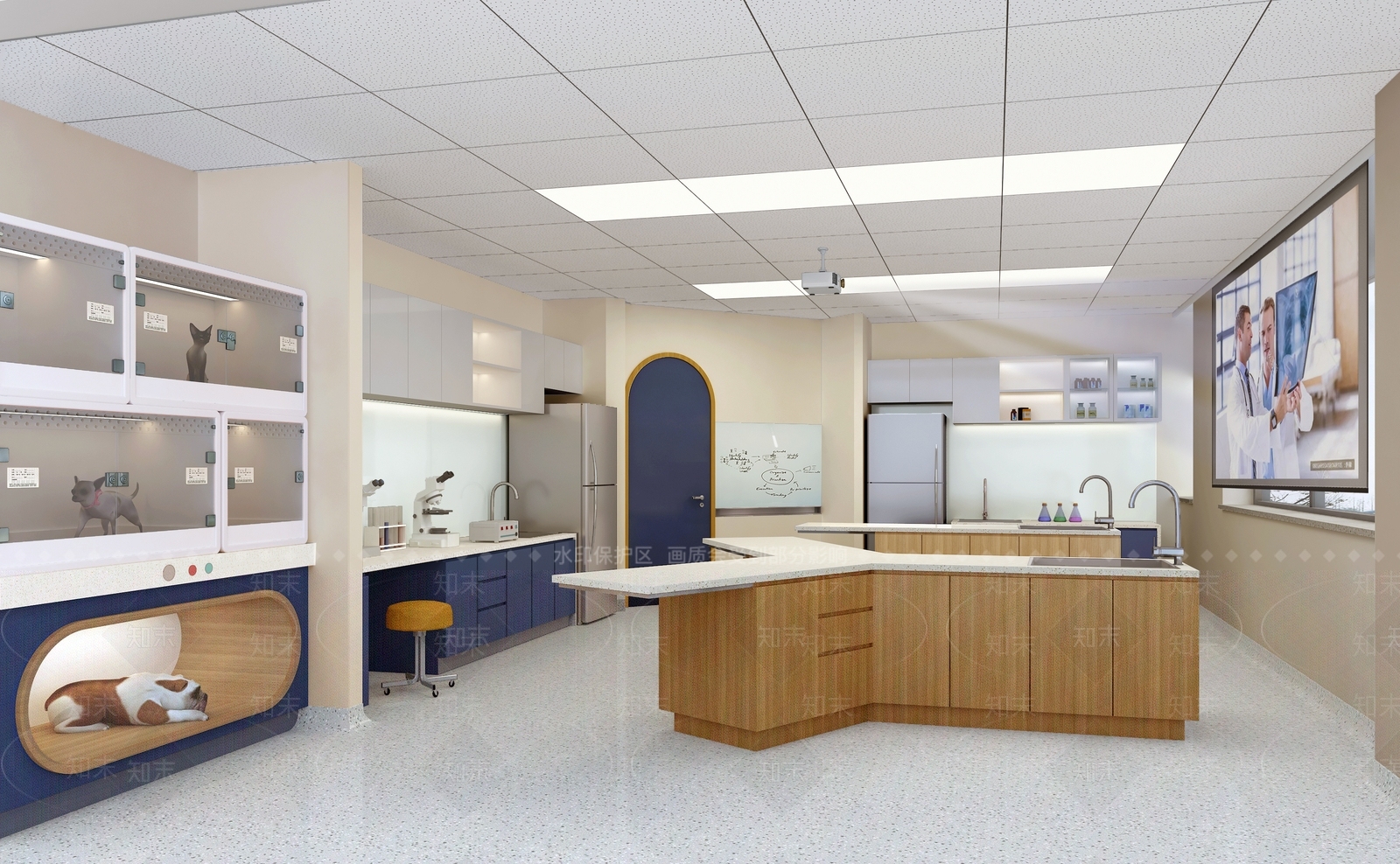 现代宠物医院3D模型下载【ID:1129361919】