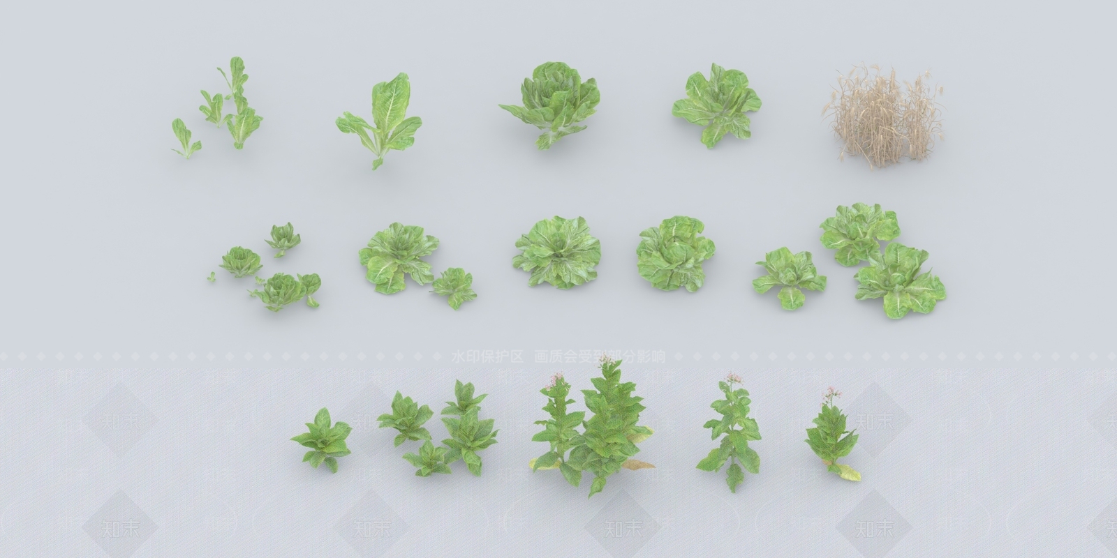 蔬菜3D模型下载【ID:1129425095】