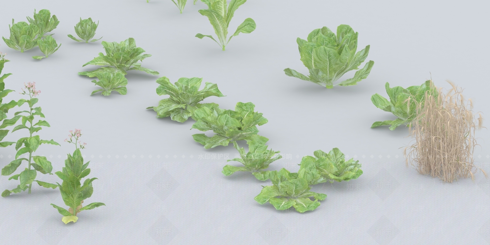 蔬菜3D模型下载【ID:1129425095】