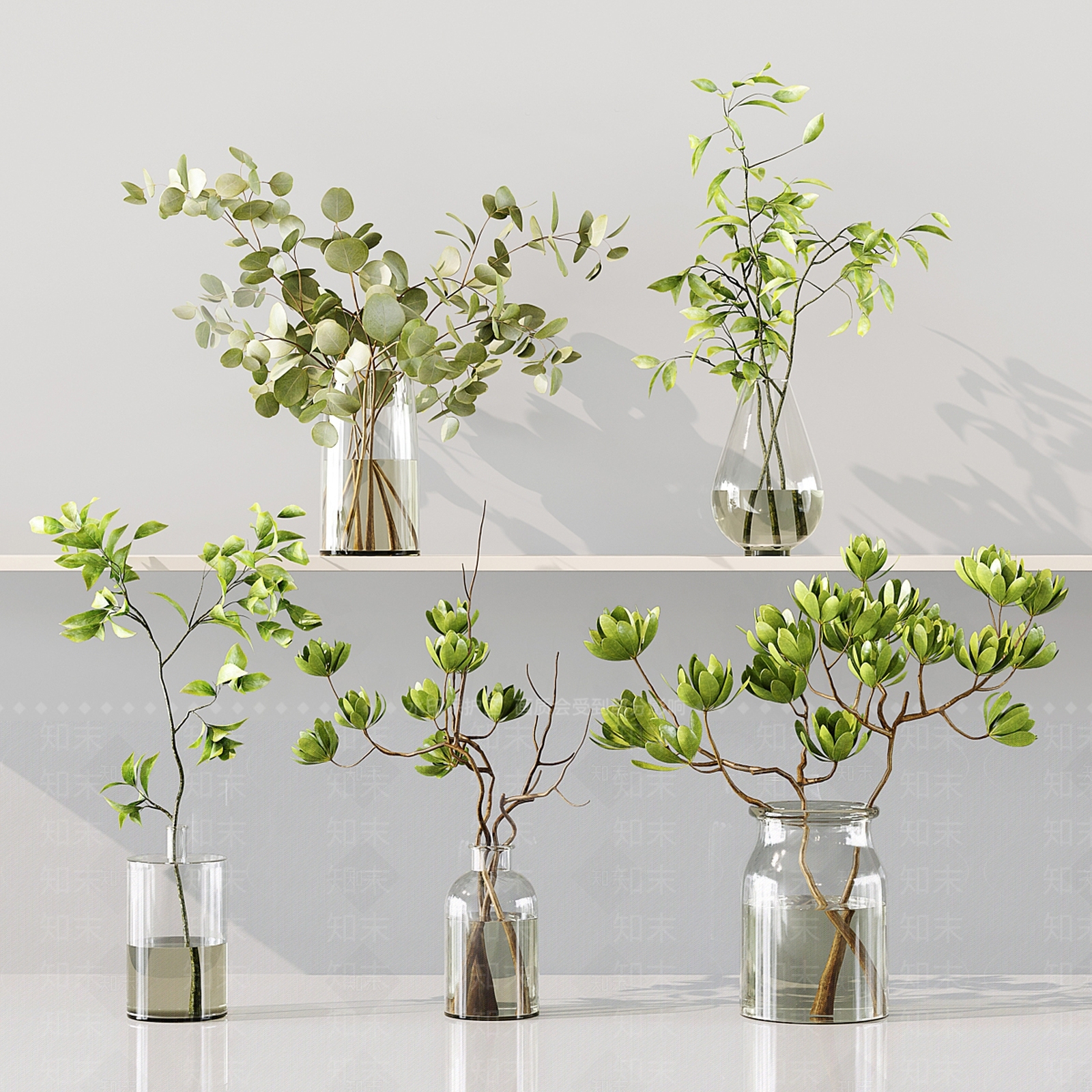 水生植物3D模型下载【ID:1129429700】