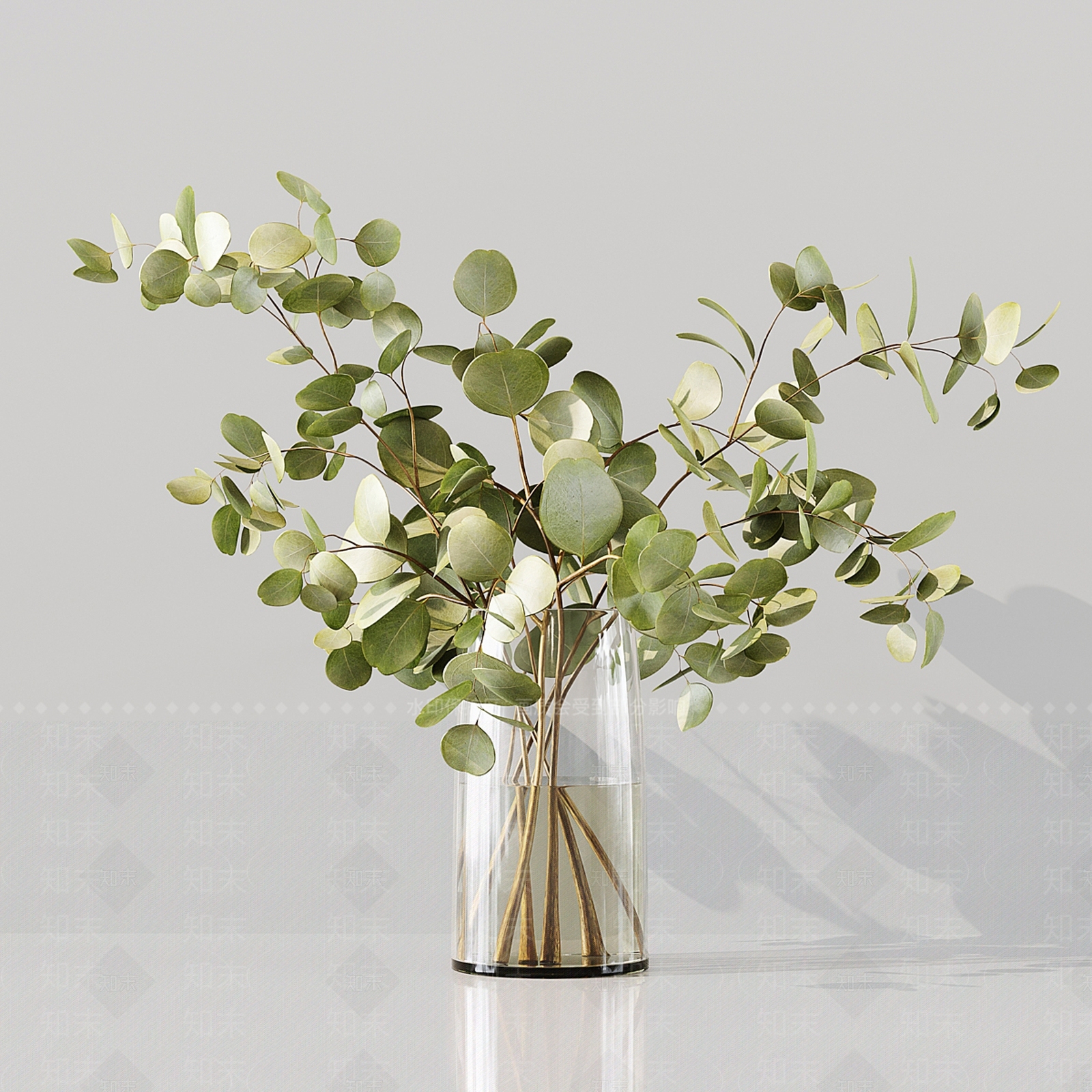 水生植物3D模型下载【ID:1129429700】