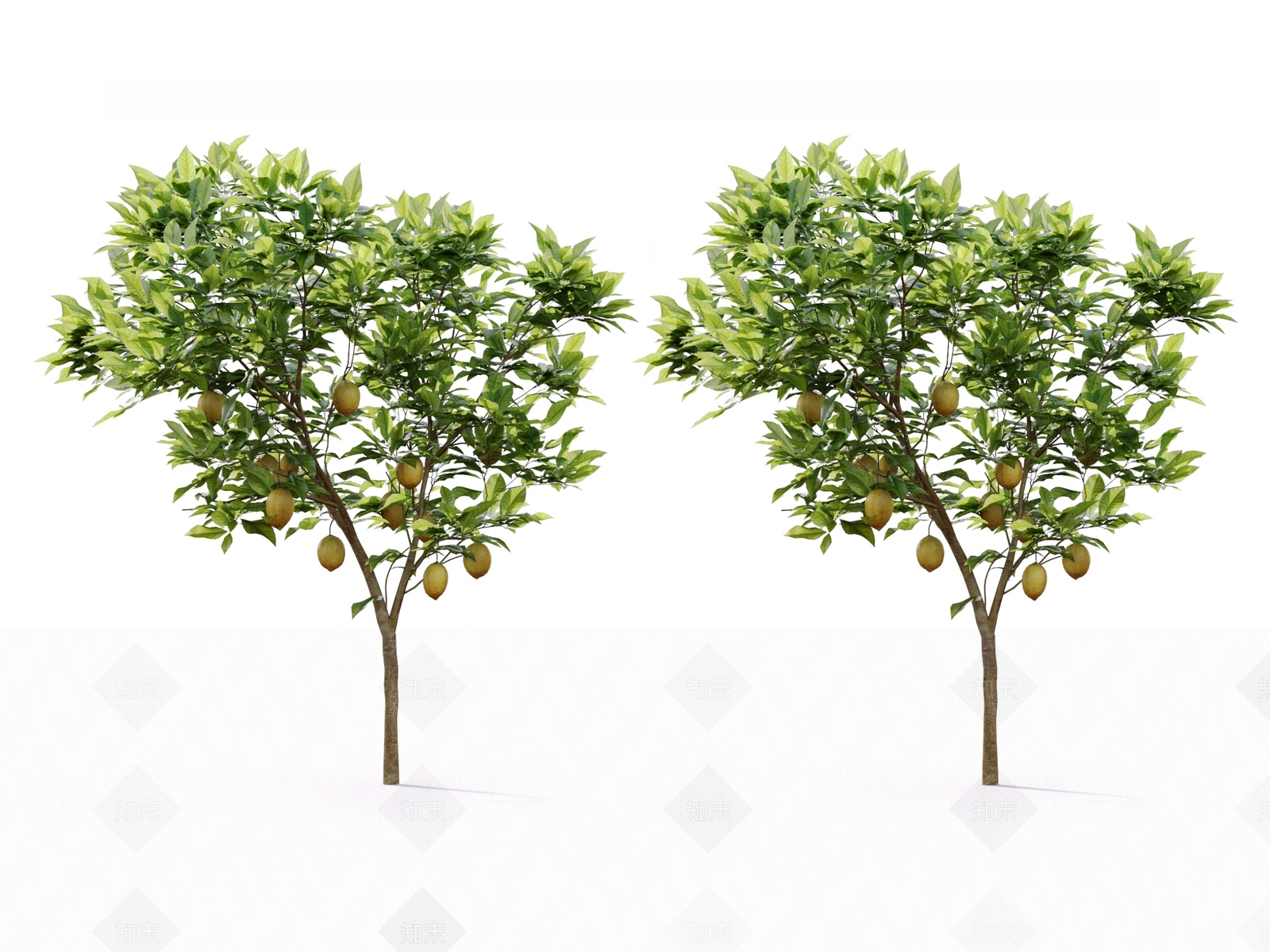 果树3D模型下载【ID:1129489718】