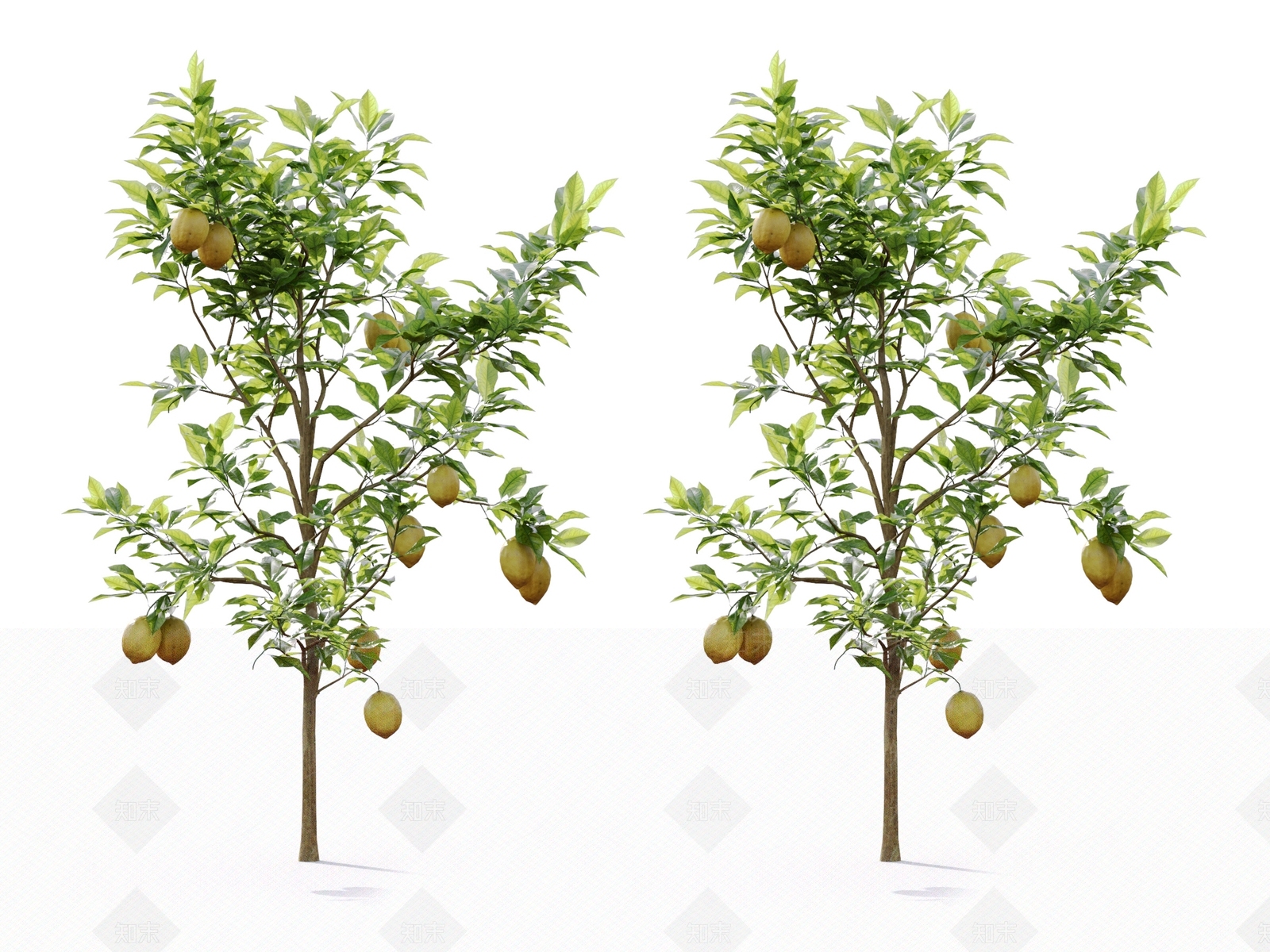 果树3D模型下载【ID:1129489763】