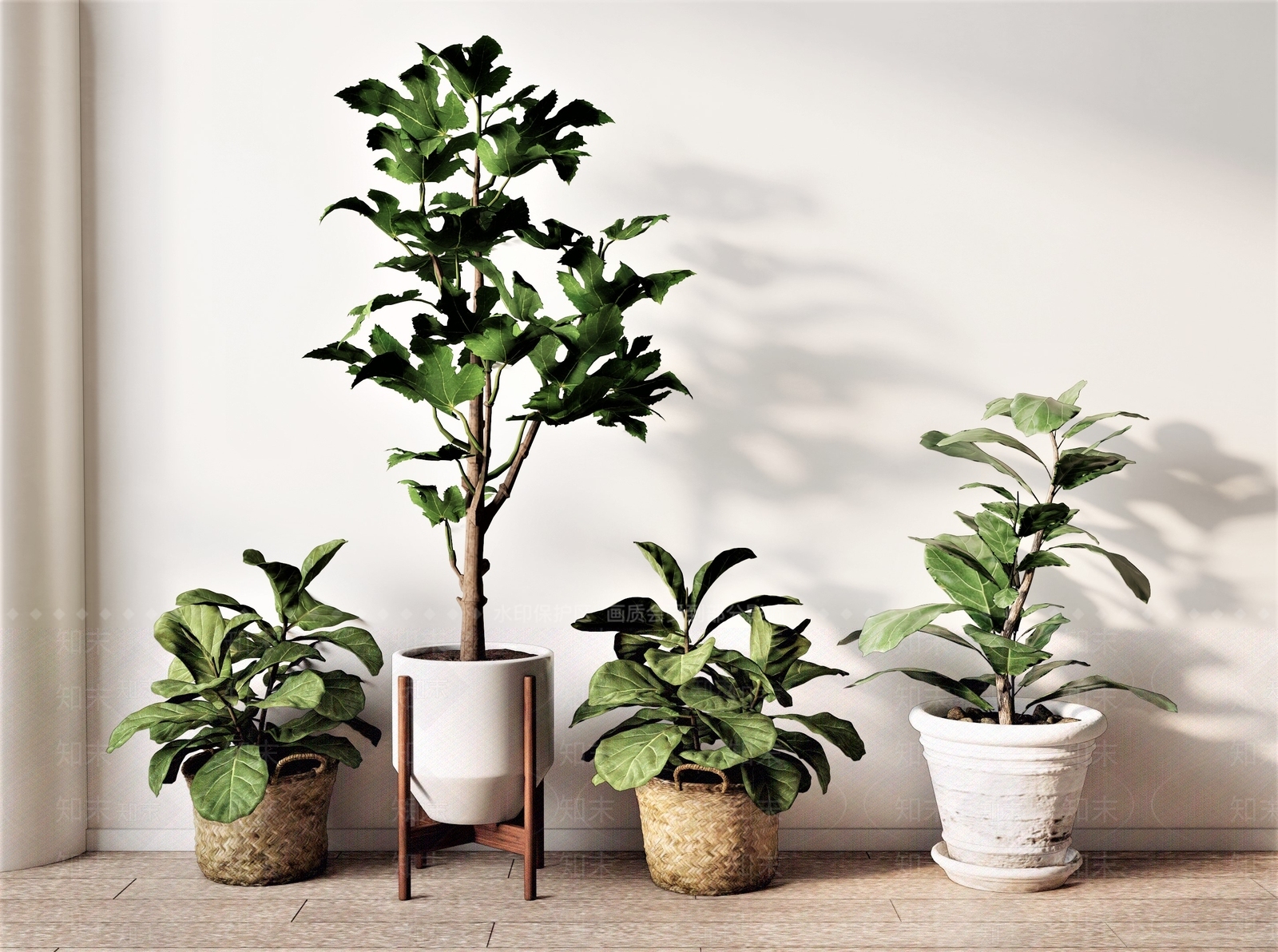 北欧花草SU模型草图