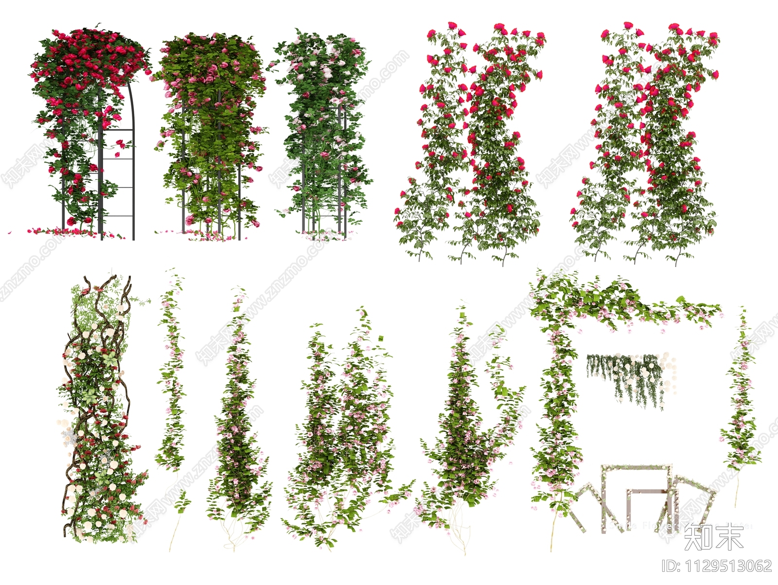 爬藤蔷薇3D模型下载【ID:1129513062】