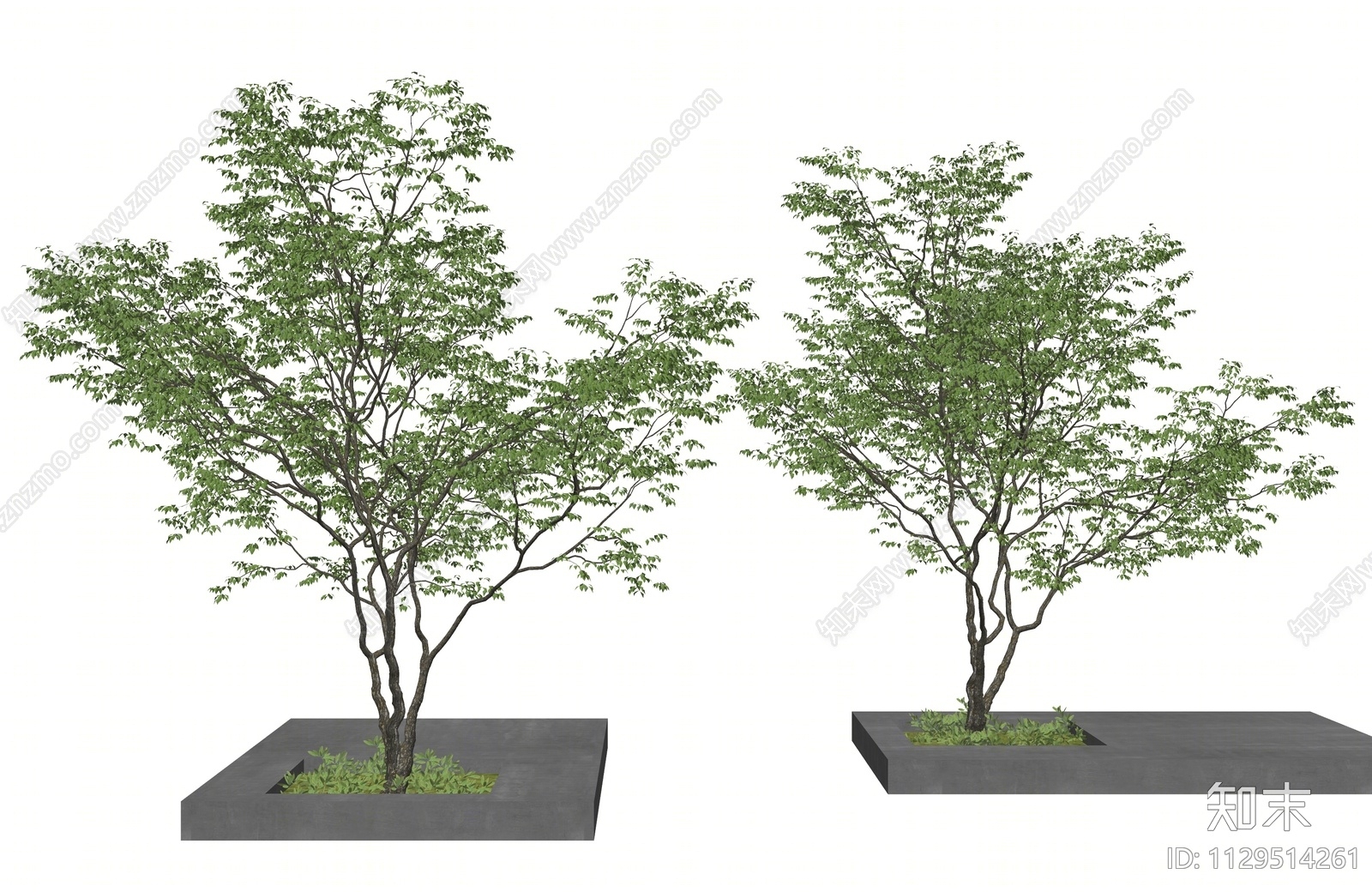 景观树SU模型下载【ID:1129514261】