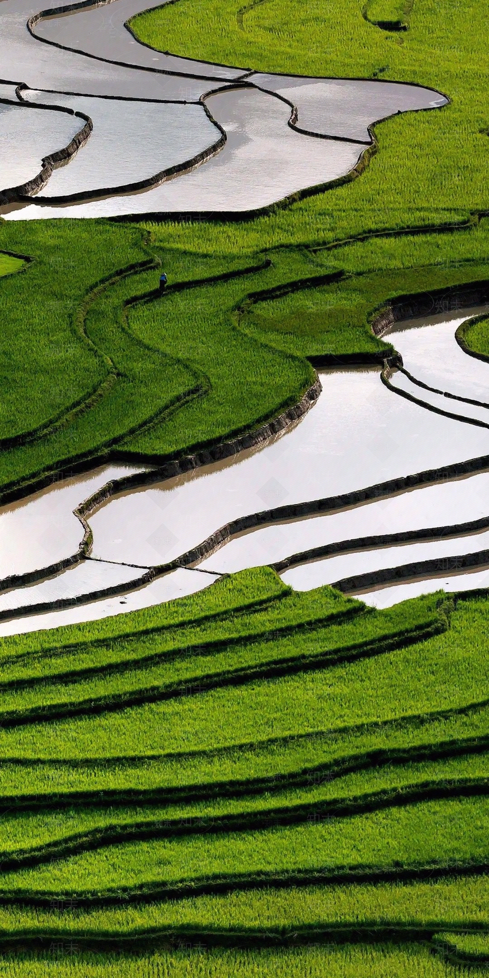 其它外景高清贴图材质