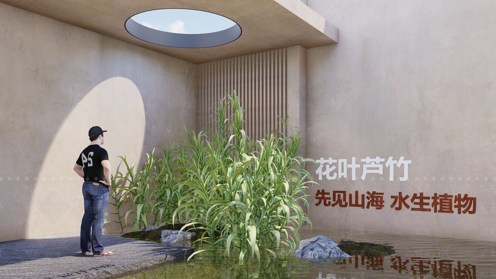 水生植物SU模型下载【ID:1129640908】