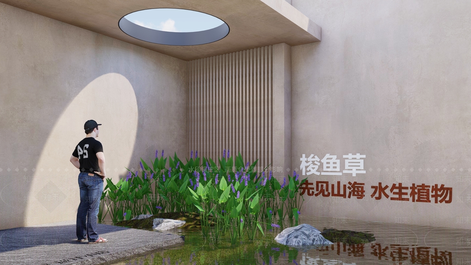 水生植物SU模型下载【ID:1129641085】