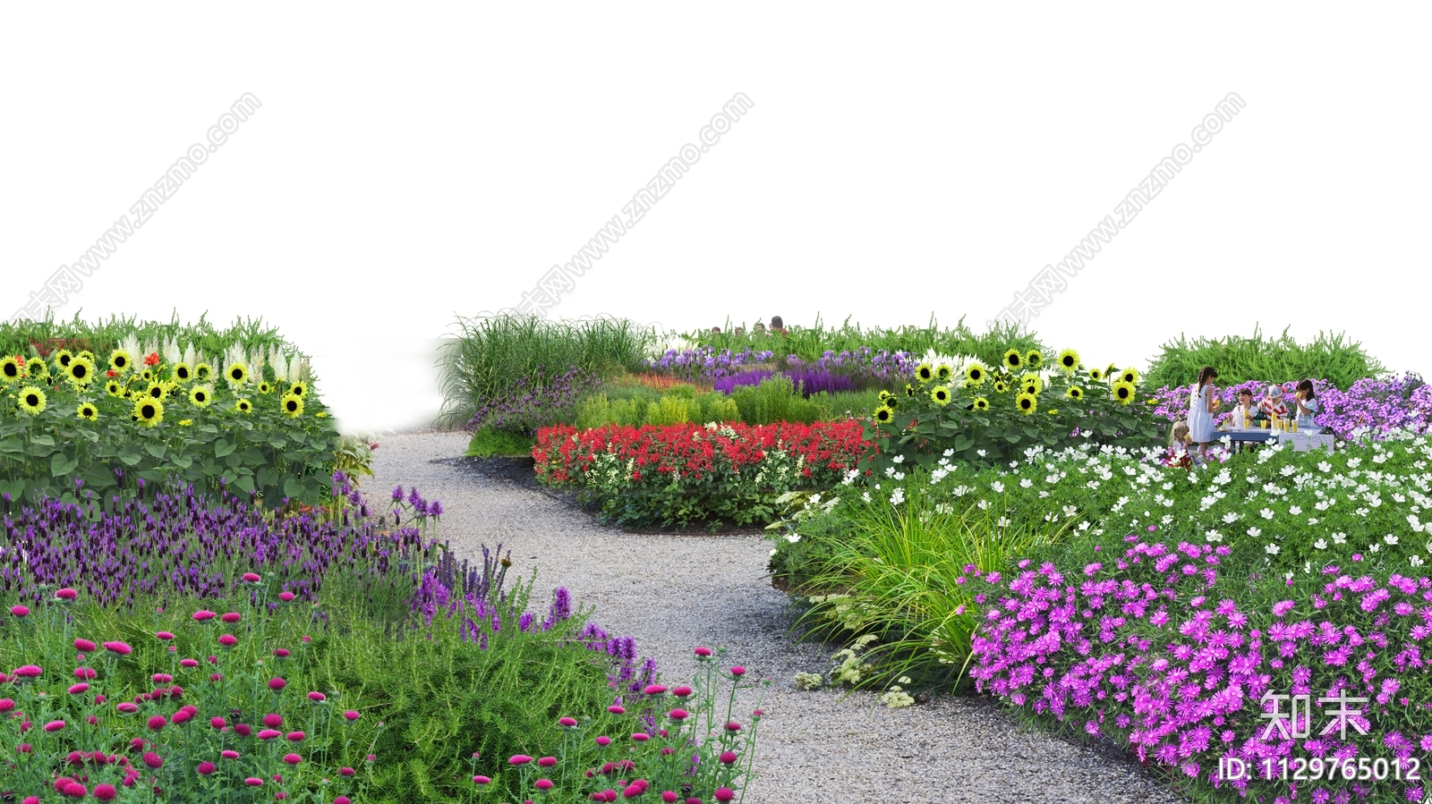花境植物设计---适应于入口景墙前_涂图徒秃-站酷ZCOOL