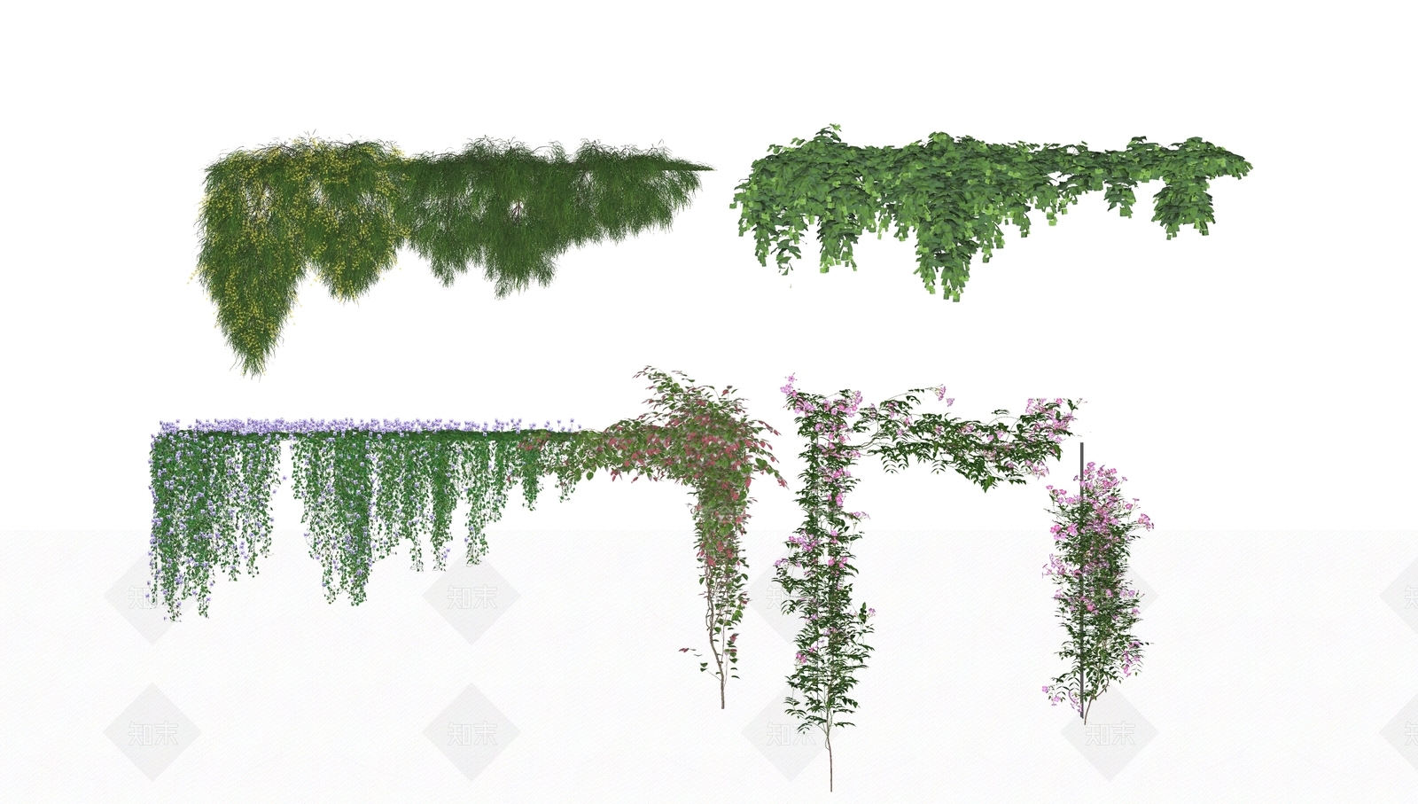藤曼藤本SU模型下载【ID1129812259】_知末su模型网
