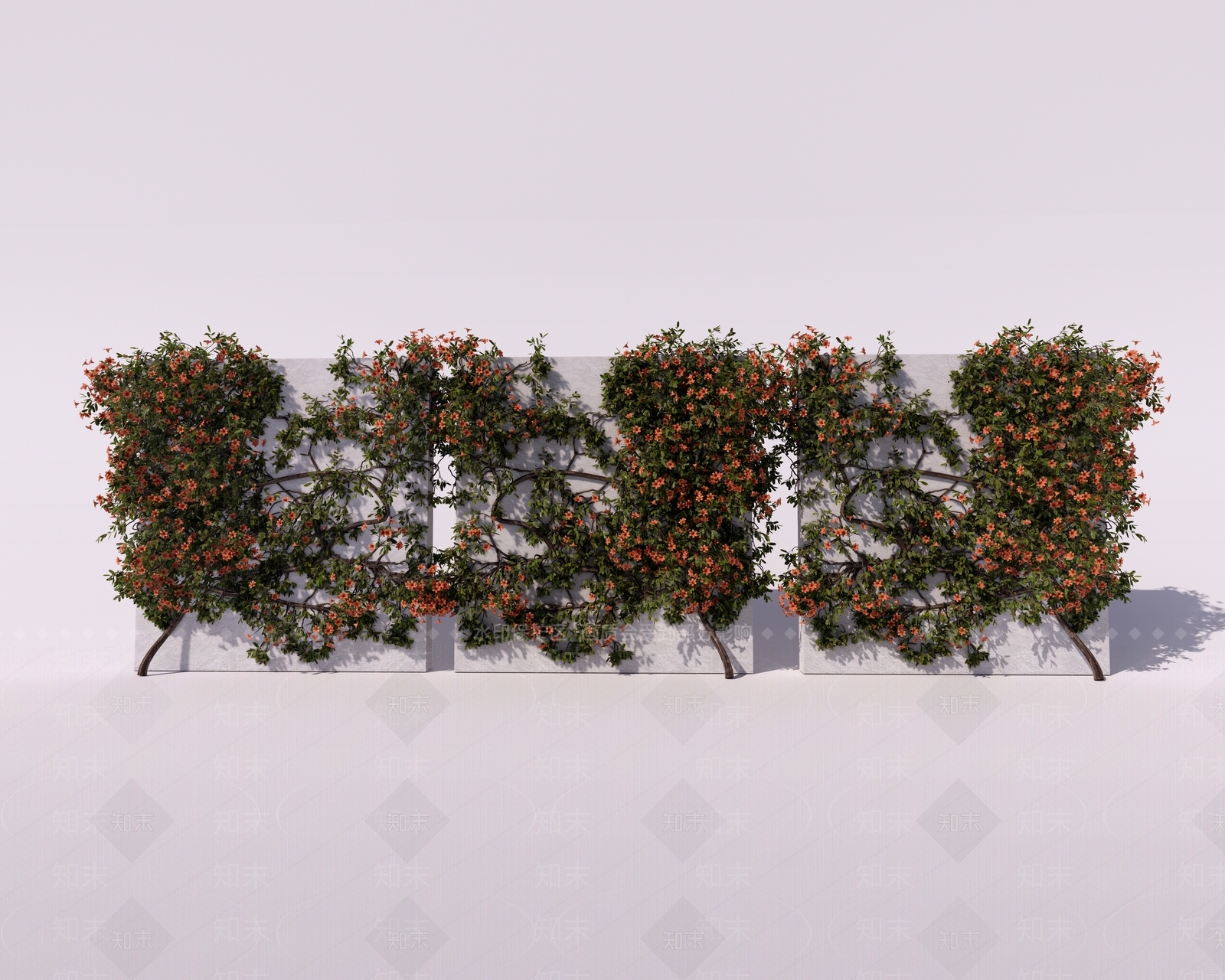 藤本植物SU模型下载【ID:1129847266】