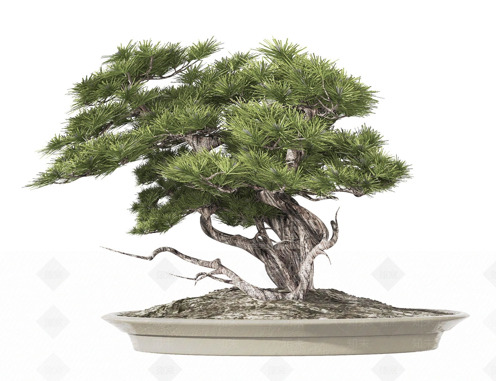 新中式松树盆景3D模型下载【ID:1129916577】