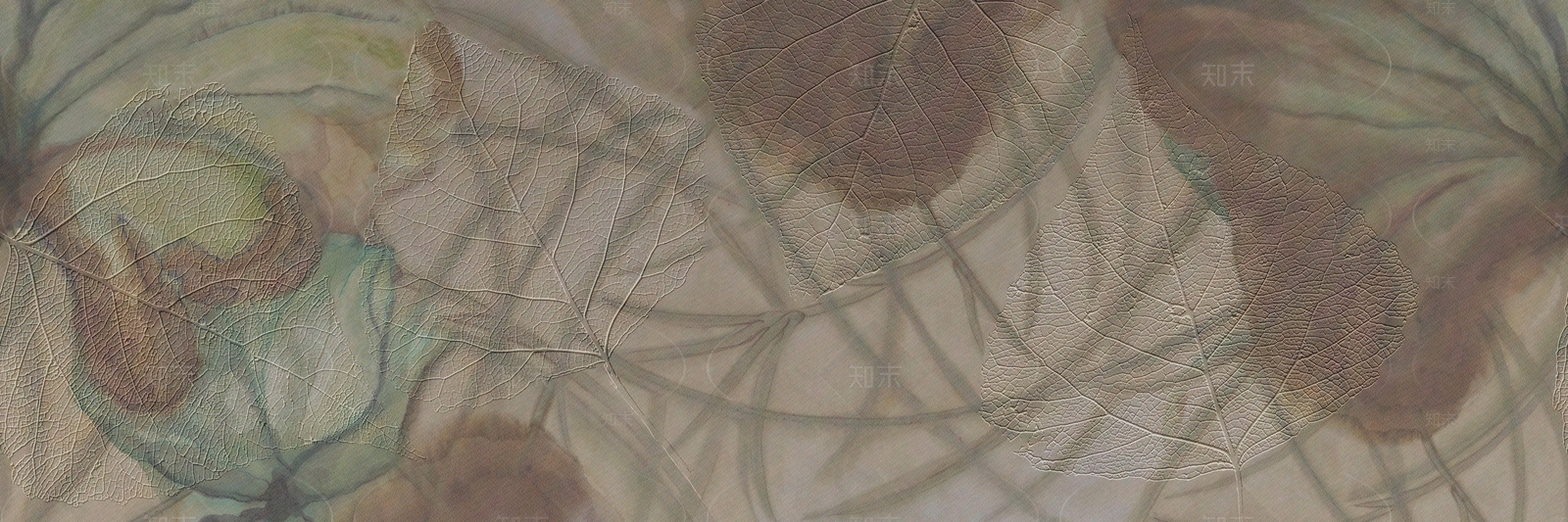 树叶脉络植物拓印肌理壁画贴图下载【ID:1129931992】