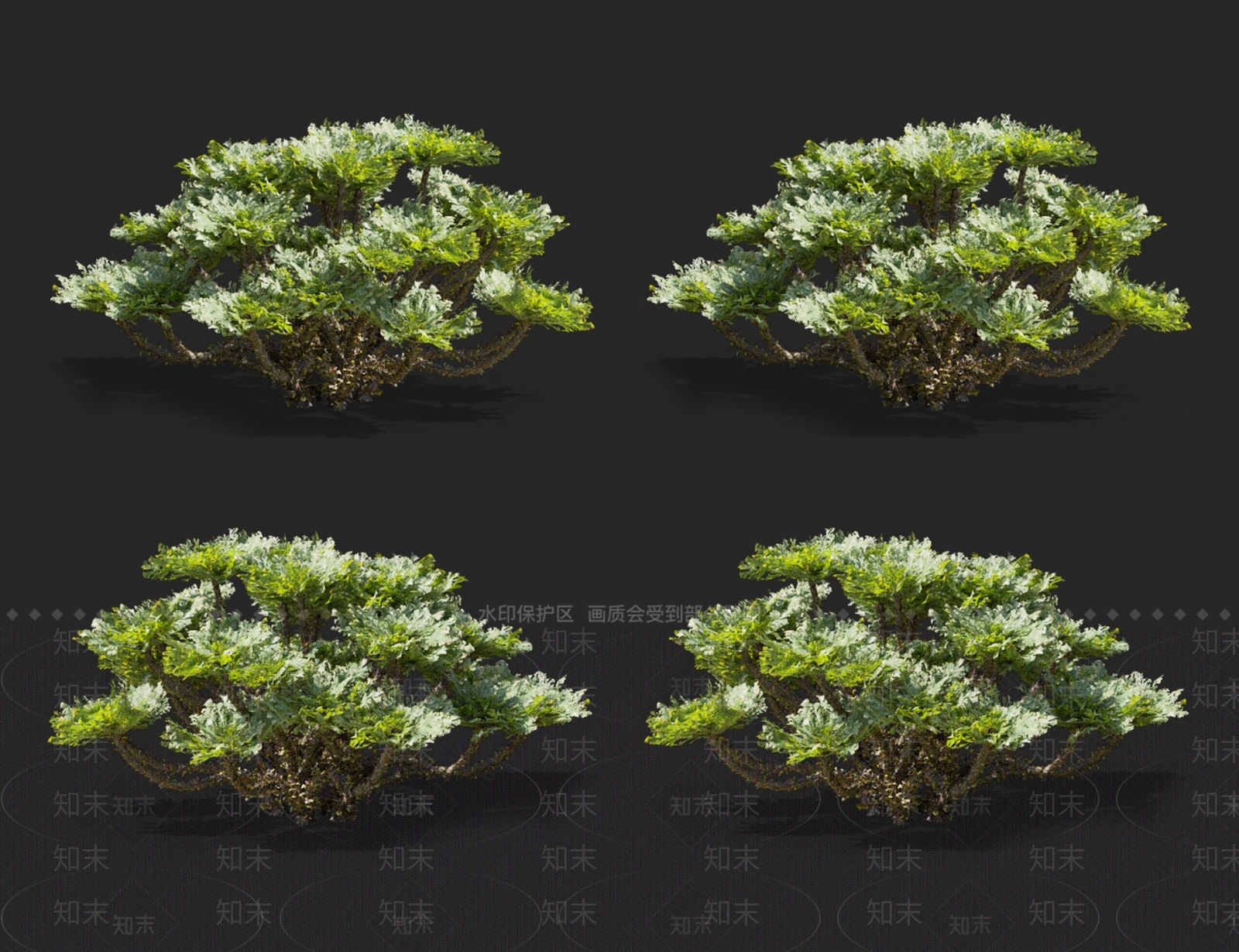草3D模型下载【ID:1130033862】