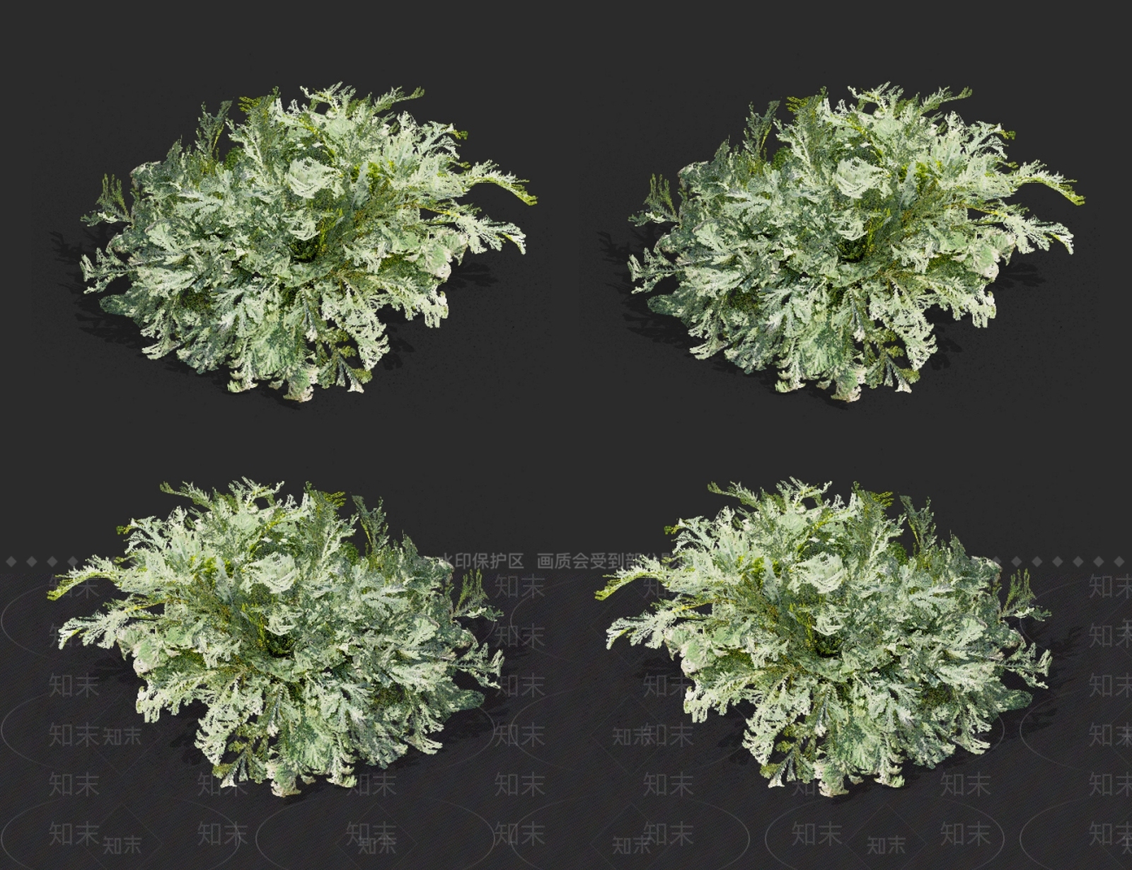 草3D模型下载【ID:1130033840】