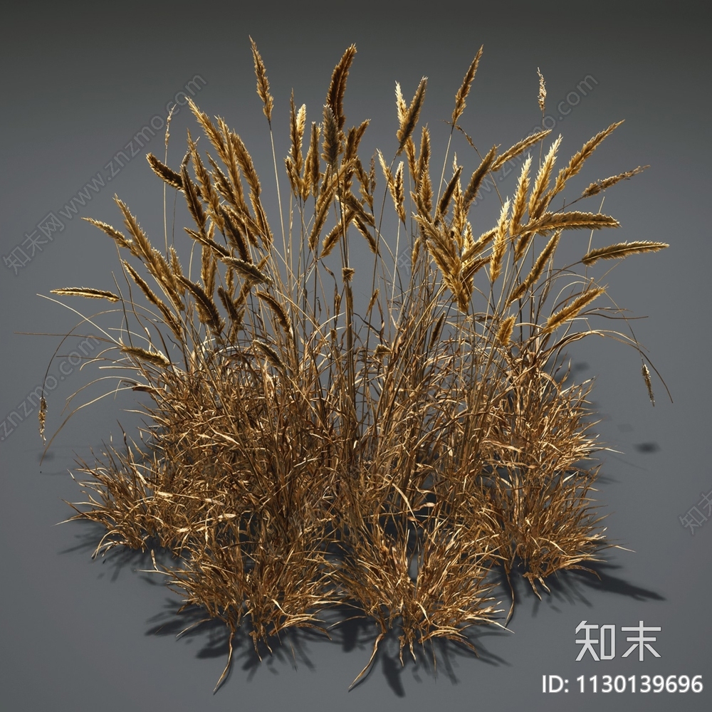 草3D模型下载【ID:1130139696】