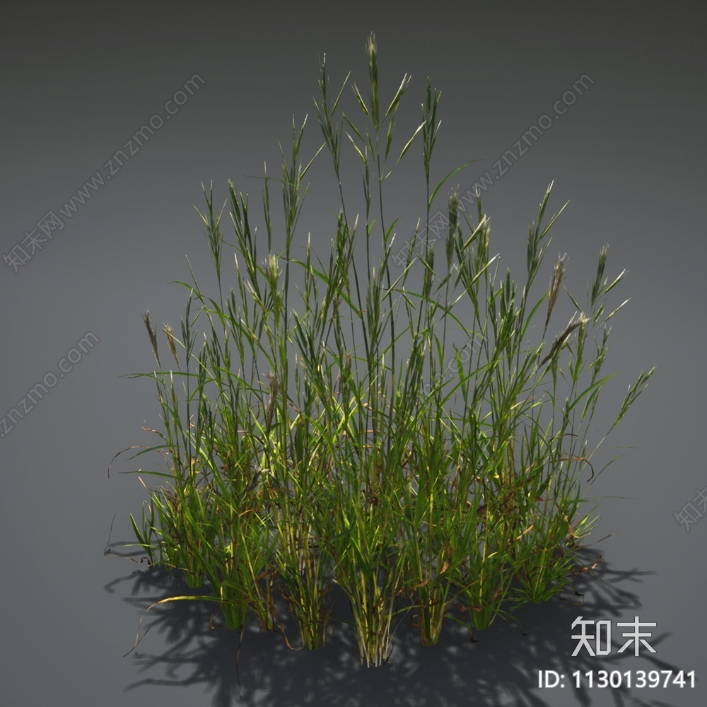 草3D模型下载【ID:1130139741】