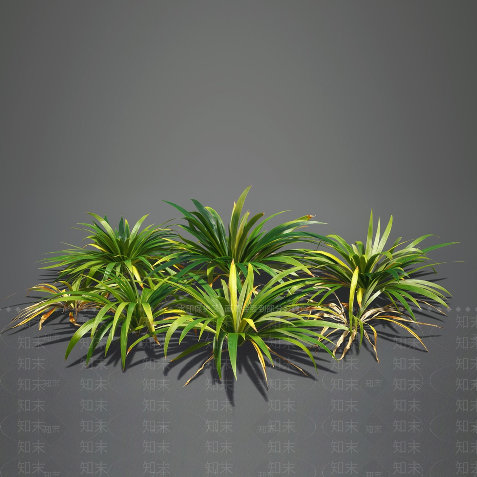 草3D模型下载【ID:1130139789】