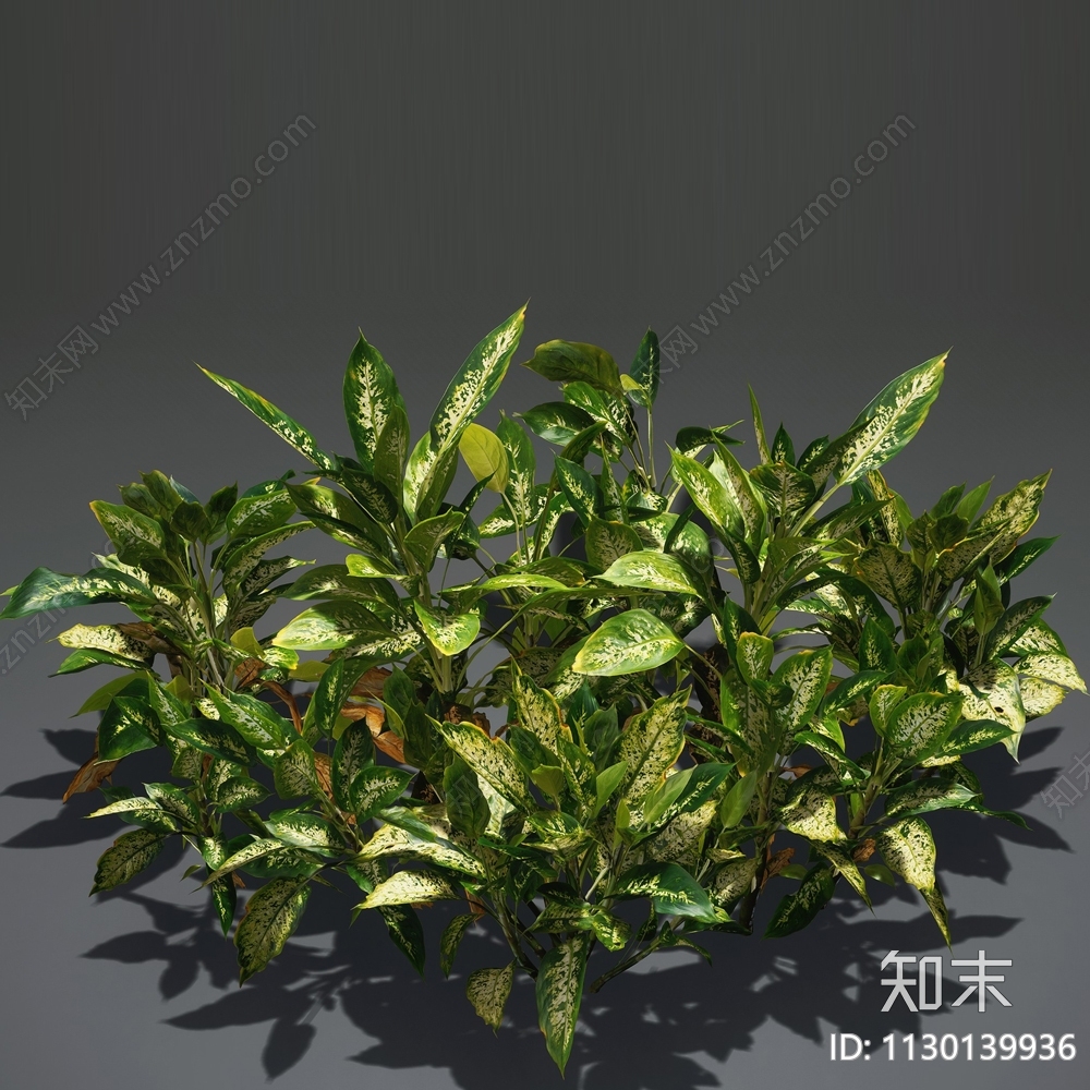 草3D模型下载【ID:1130139936】