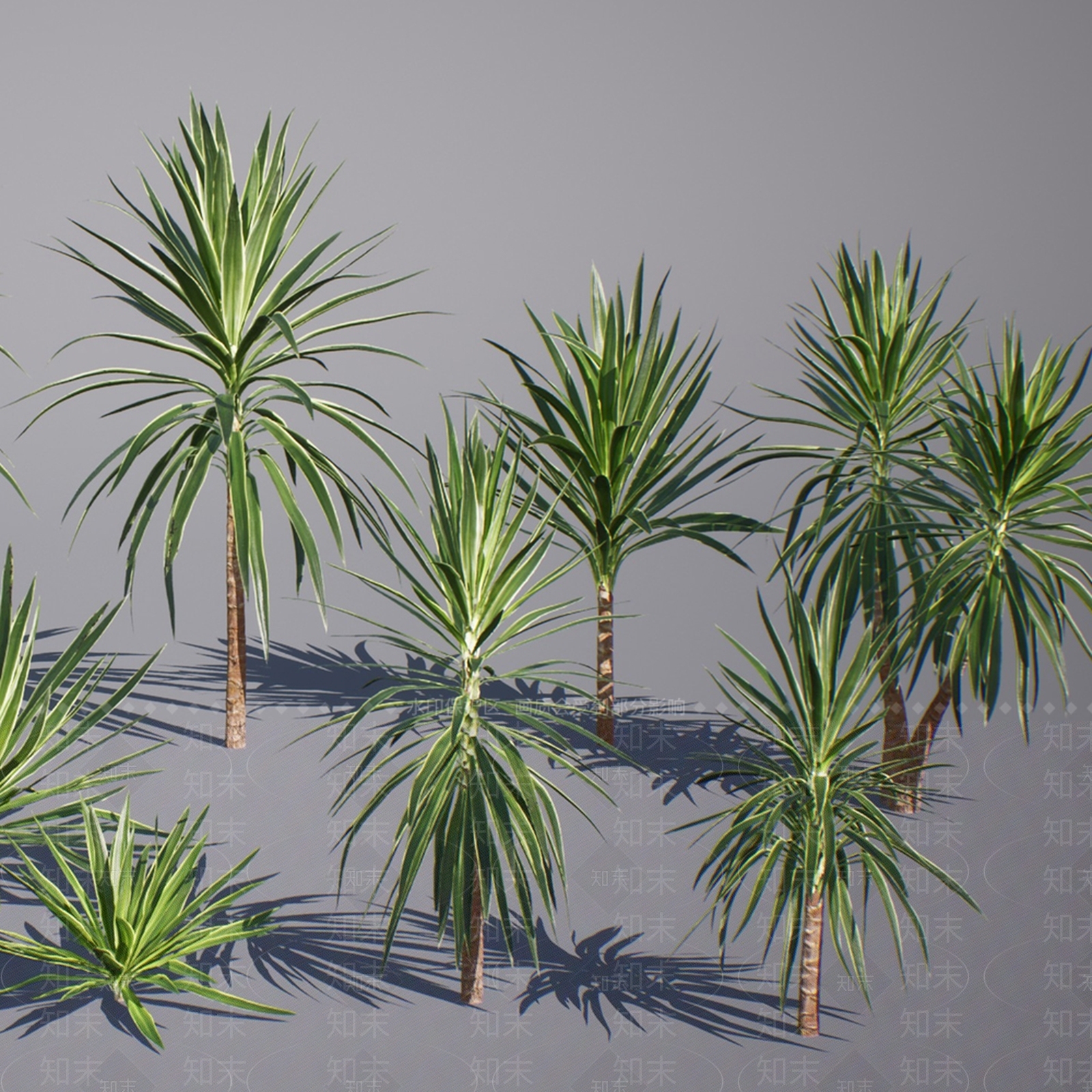 乔木3D模型下载【ID:1130140165】