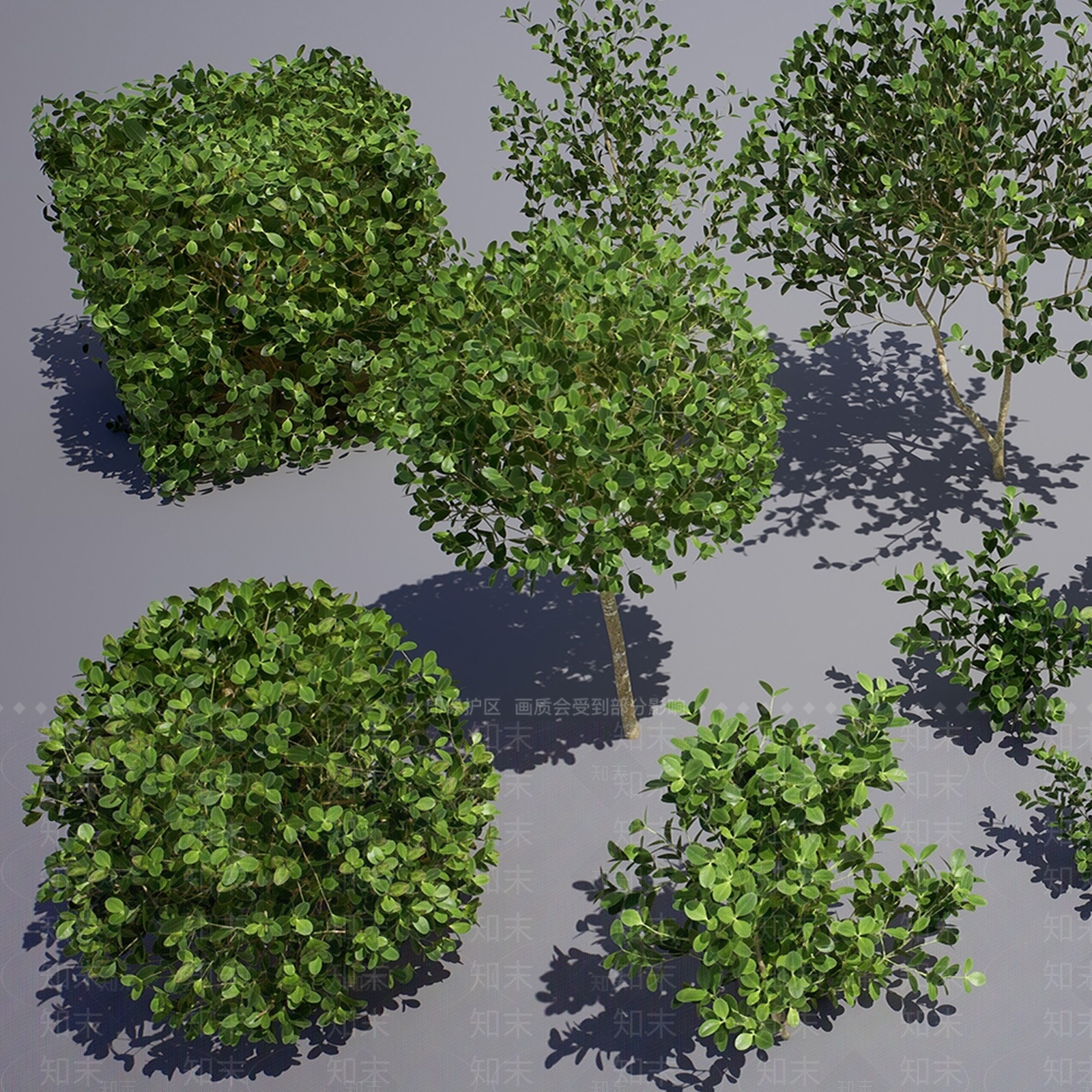 灌木3D模型下载【ID:1130140250】