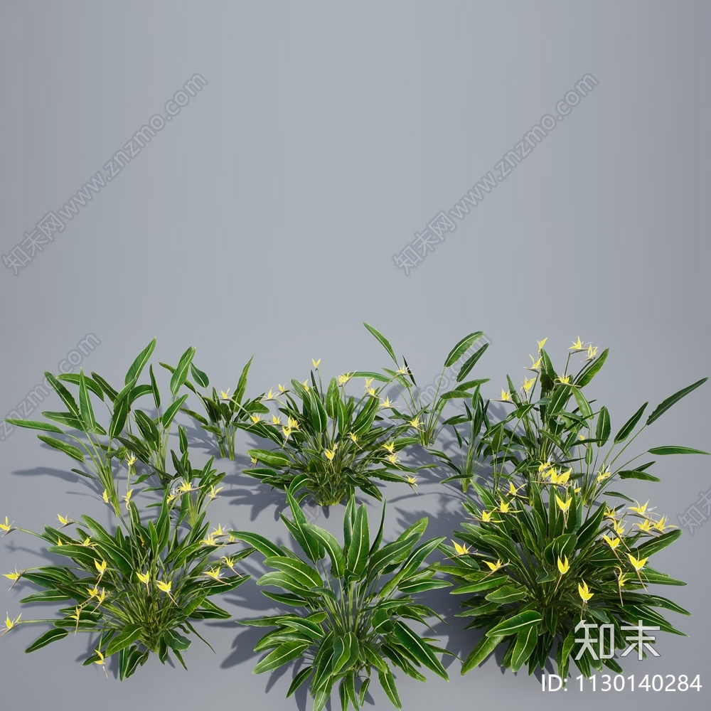 草3D模型下载【ID:1130140284】