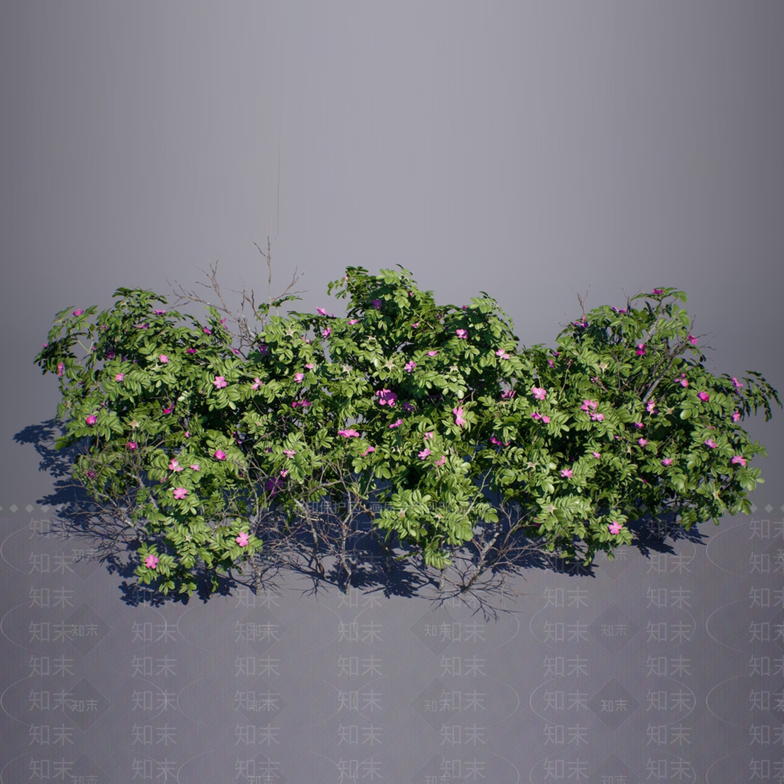 花3D模型下载【ID:1130140339】