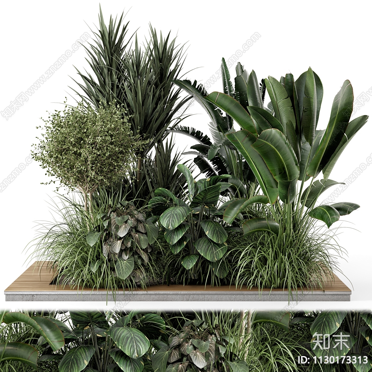 植物堆3D模型下载【ID:1130173313】