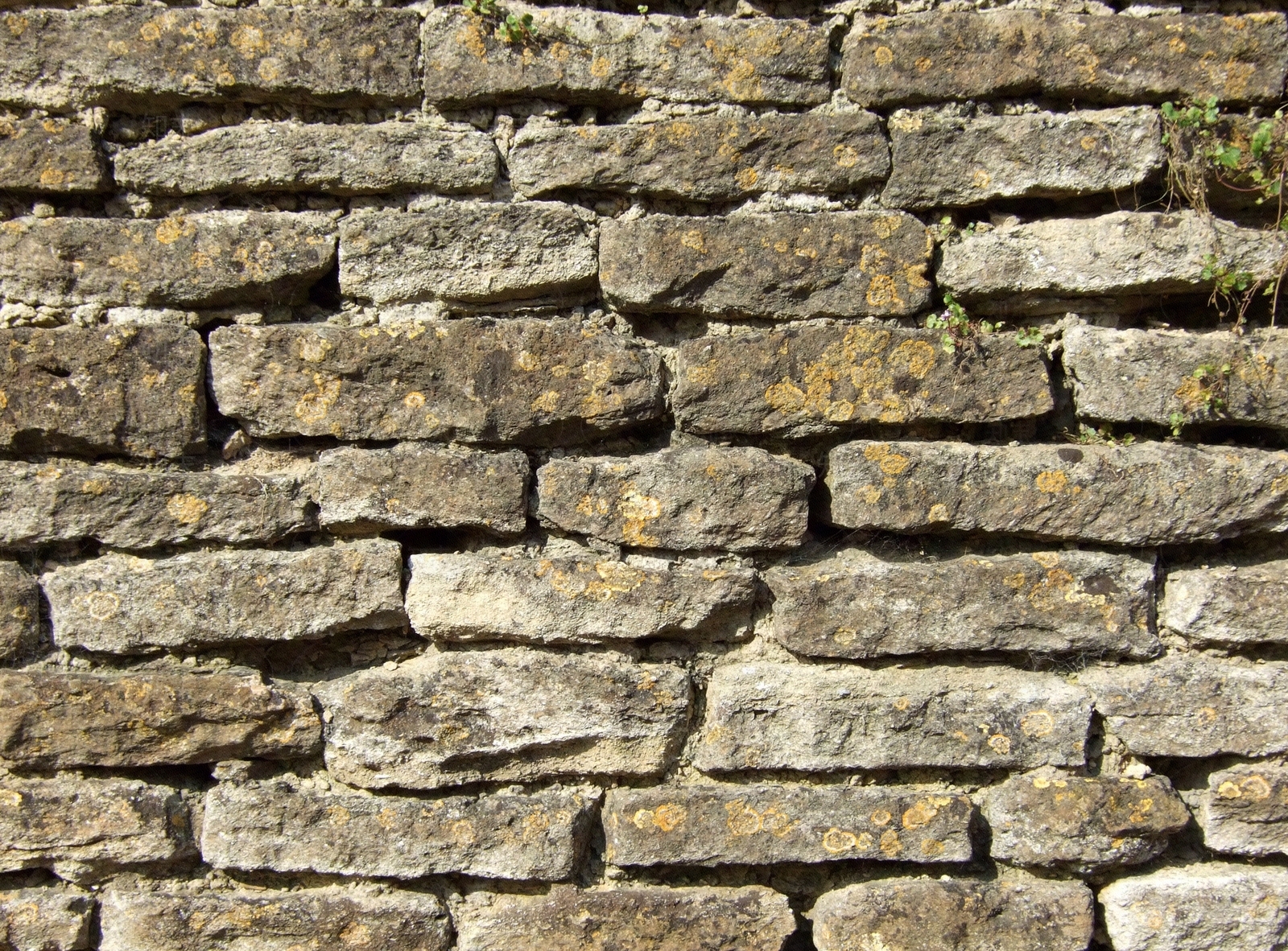 规划老石头外墙贴图贴图下载【ID:1130191440】