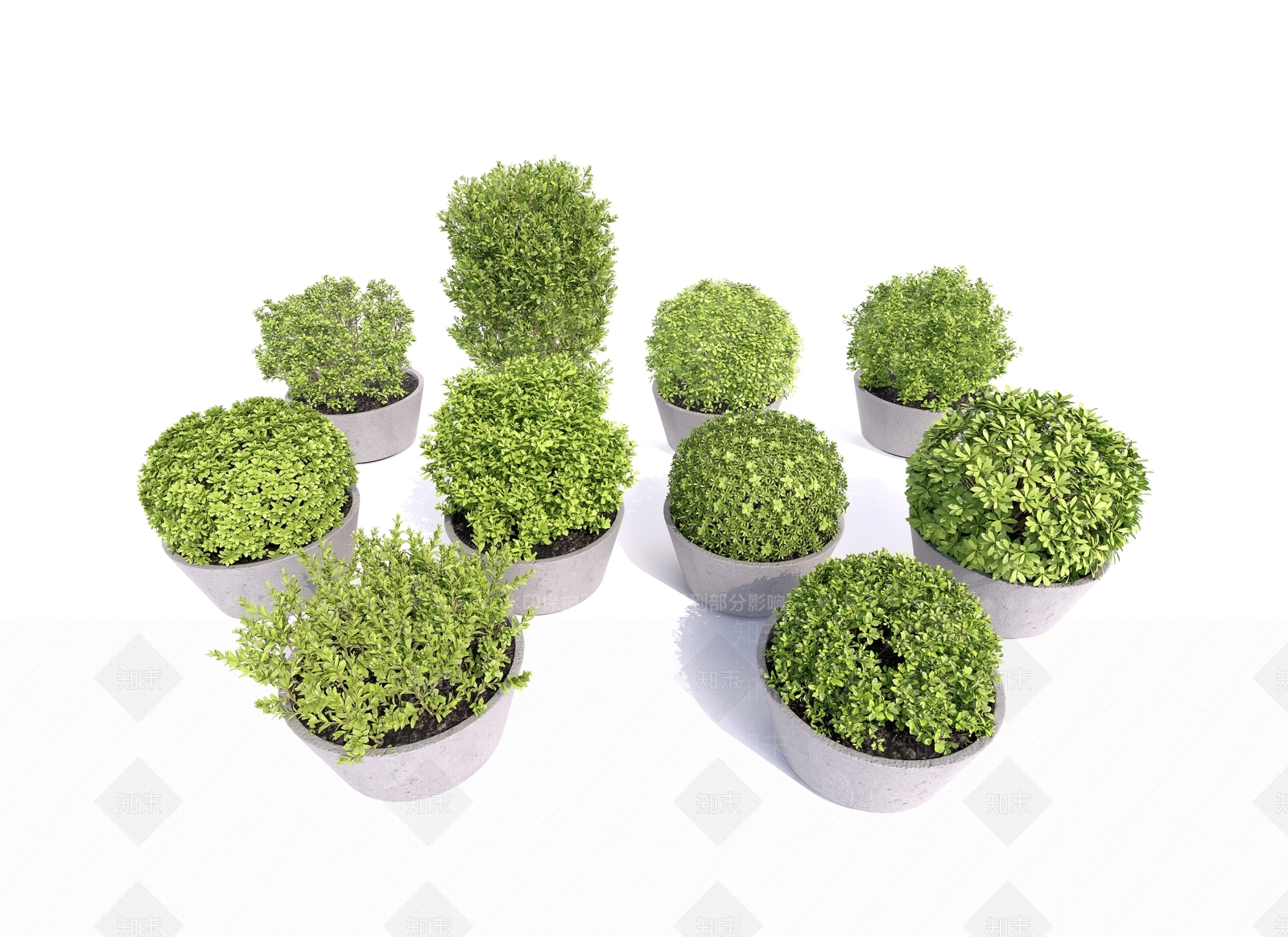 植物球盆栽SU模型下载【ID:1130232098】