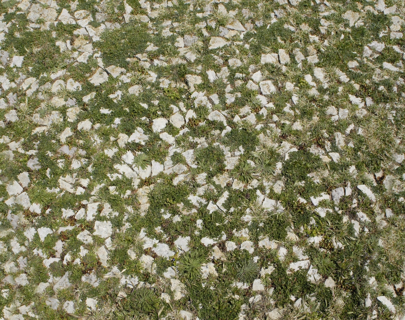 乡村规划贴图石头地面贴图下载【ID:1130258192】