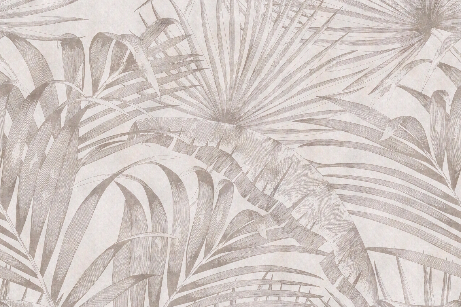 芭蕉棕榈手绘树叶壁纸贴图下载【ID:1130375321】