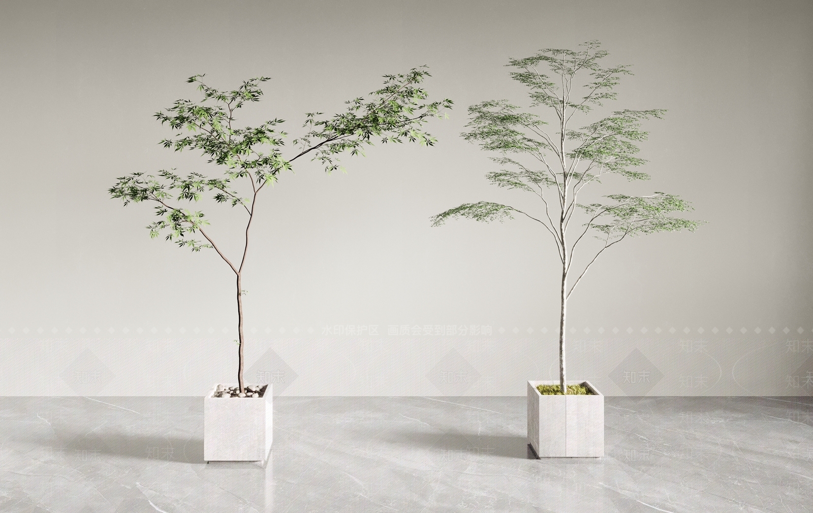 盆栽植物3D模型下载【ID:1130430218】_知末3d模型网
