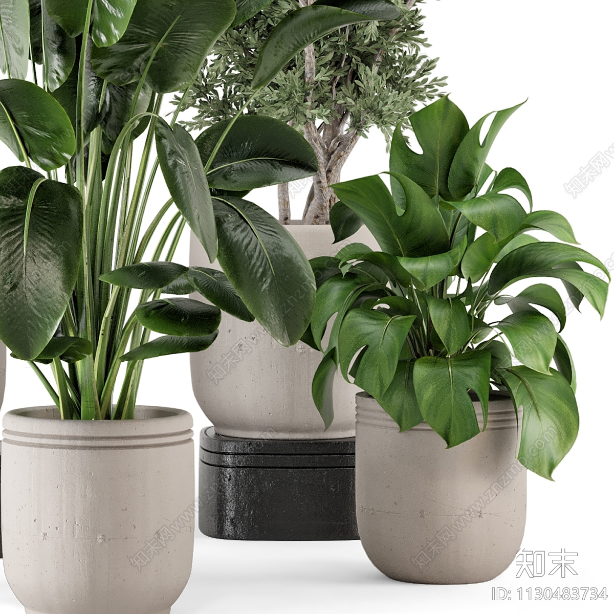 植物盆栽组合3D模型下载【ID:1130483734】